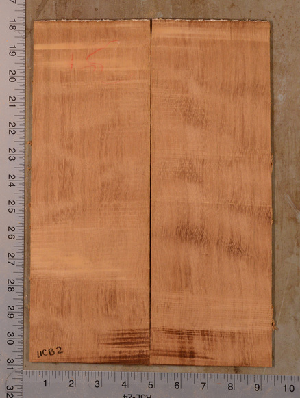 Mahogany (Genuine) UkeBack2pcATC GMAH5.131