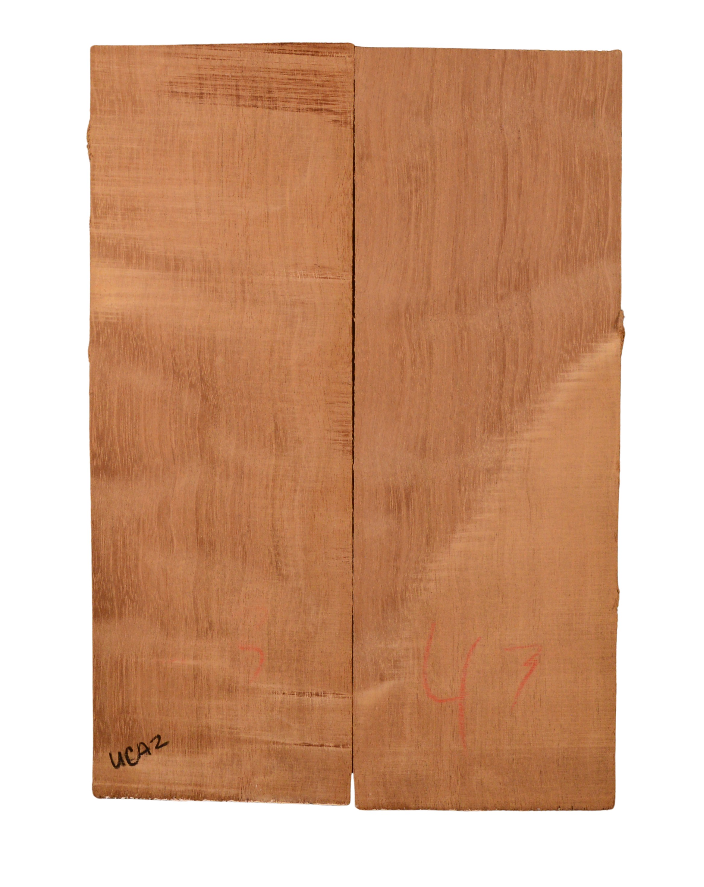 Mahogany (Genuine) UkeBack2pcATC GMAH5.134