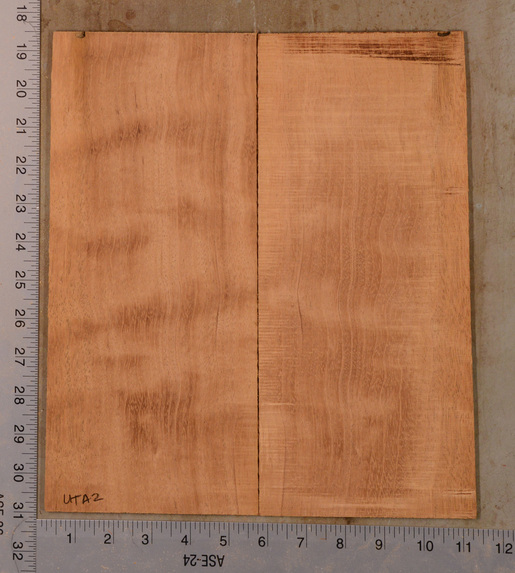 Mahogany (Genuine) UkeBack2pcATC GMAH5.135