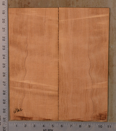 Mahogany (Genuine) UkeBack2pcATC GMAH5.138