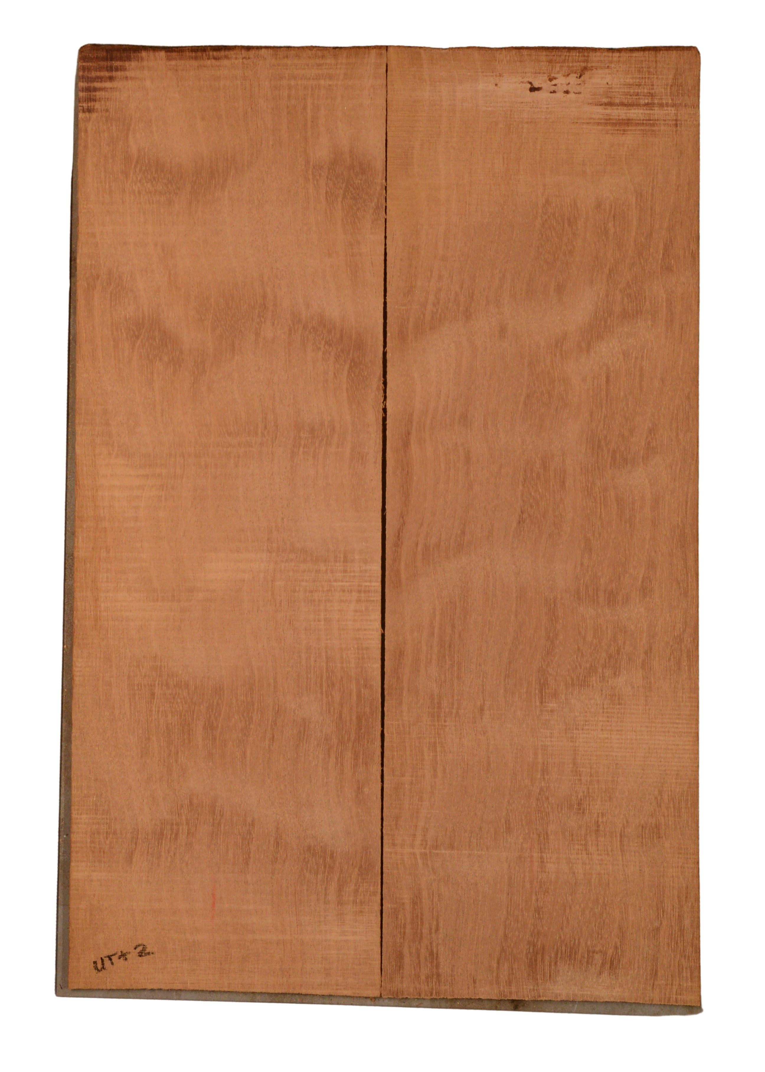 Mahogany (Genuine) UkeBack2pcATC GMAH5.141