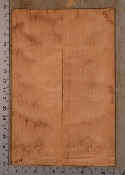 Mahogany (Genuine) UkeBack2pcATC GMAH5.142