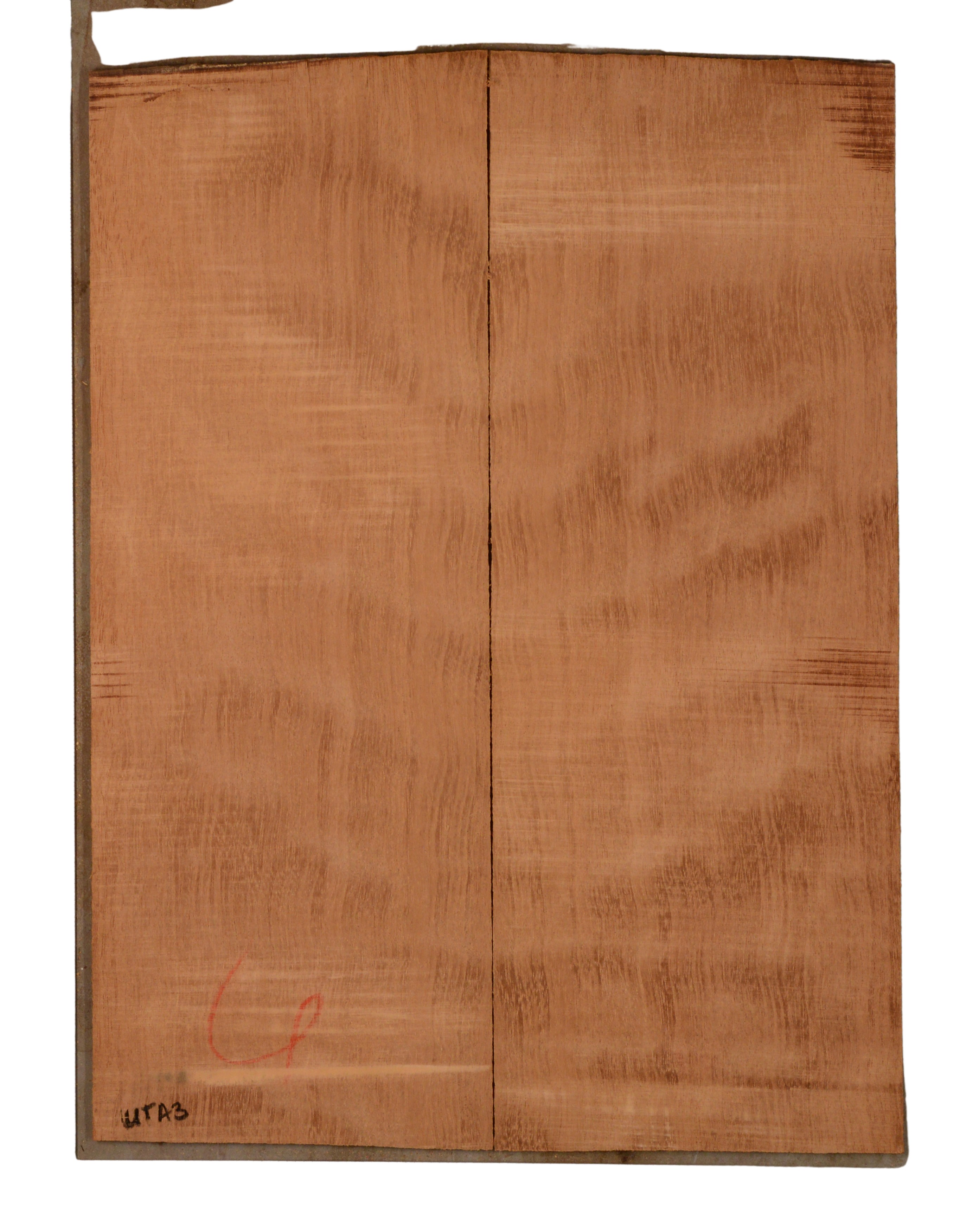 Mahogany (Genuine) UkeBack2pcATC GMAH5.147