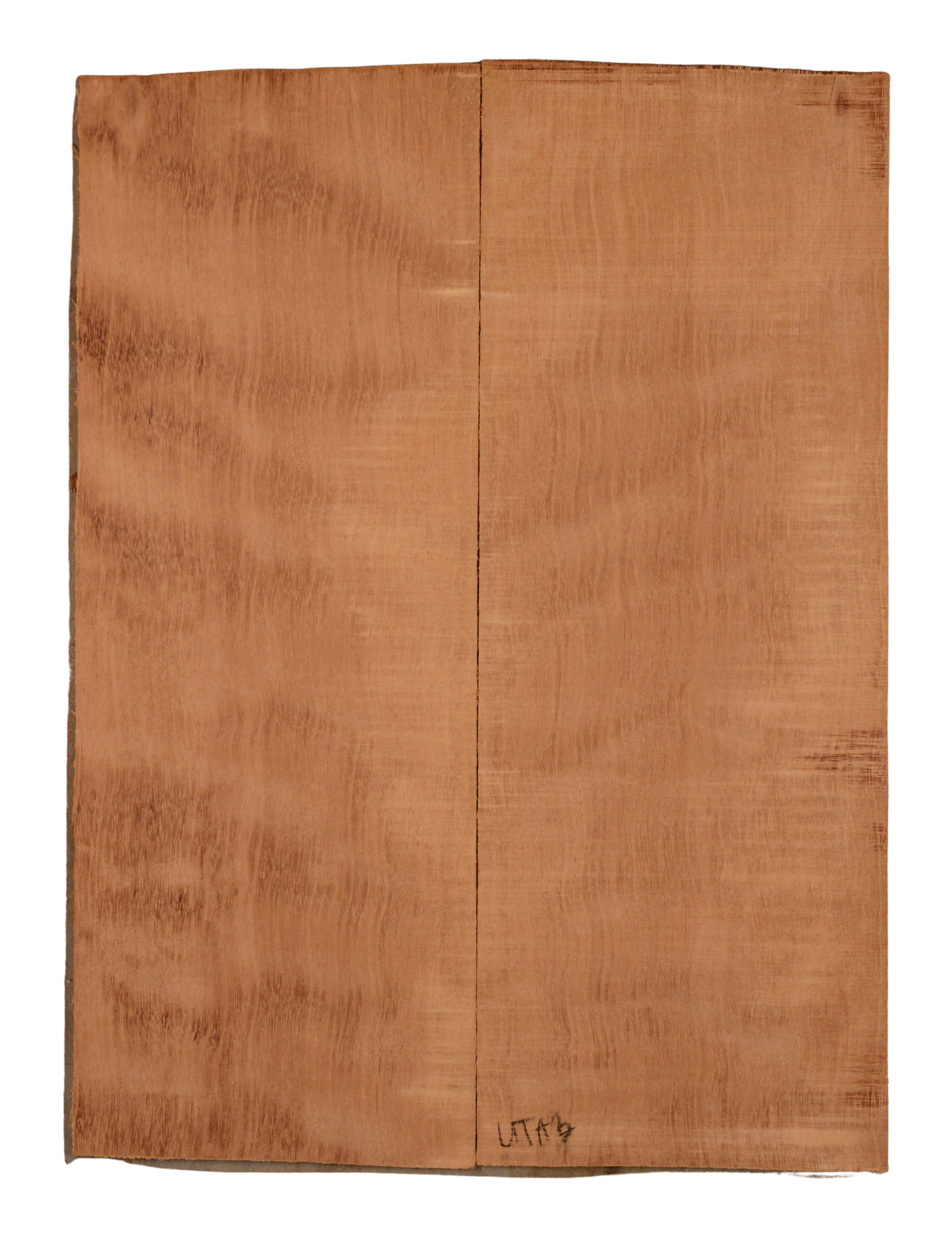 Mahogany (Genuine) UkeBack2pcATC GMAH5.150