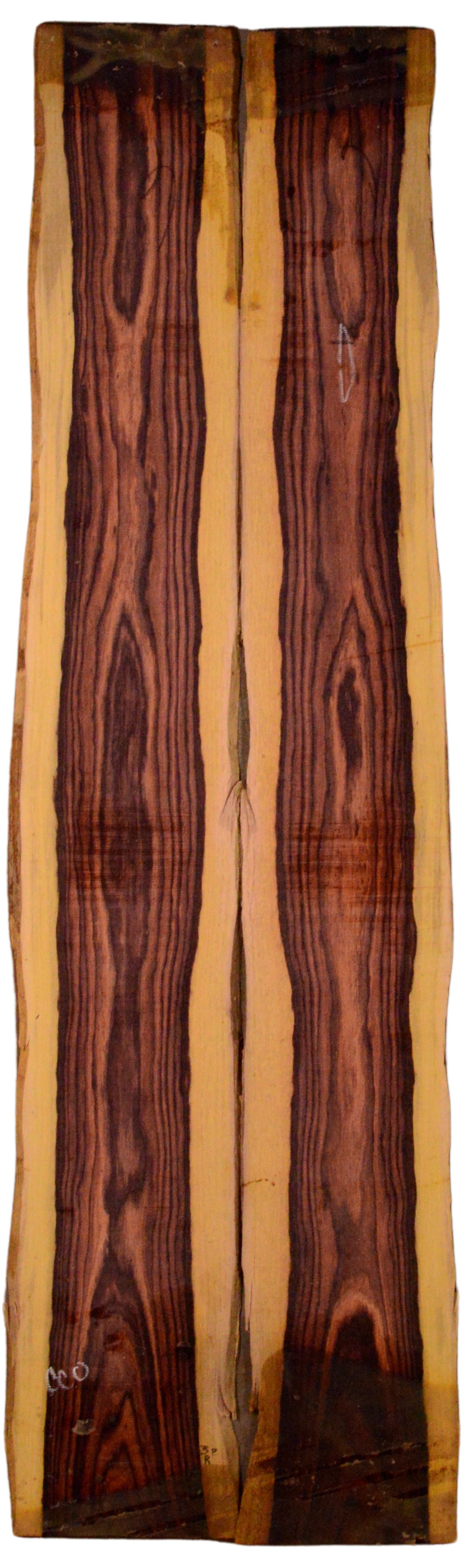 Kingwood GuitarSides2pcATC KING1.G.033