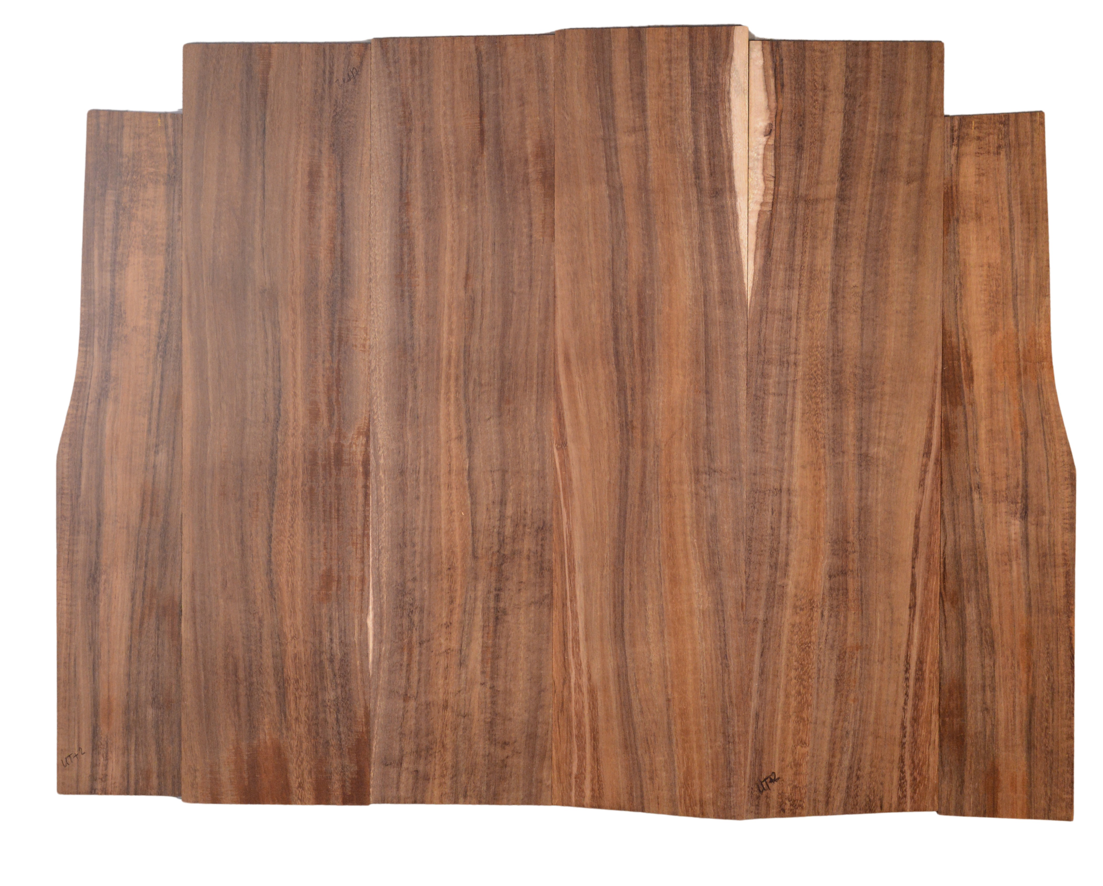 Koa UkeSet6pcATC KOA1.G1.001