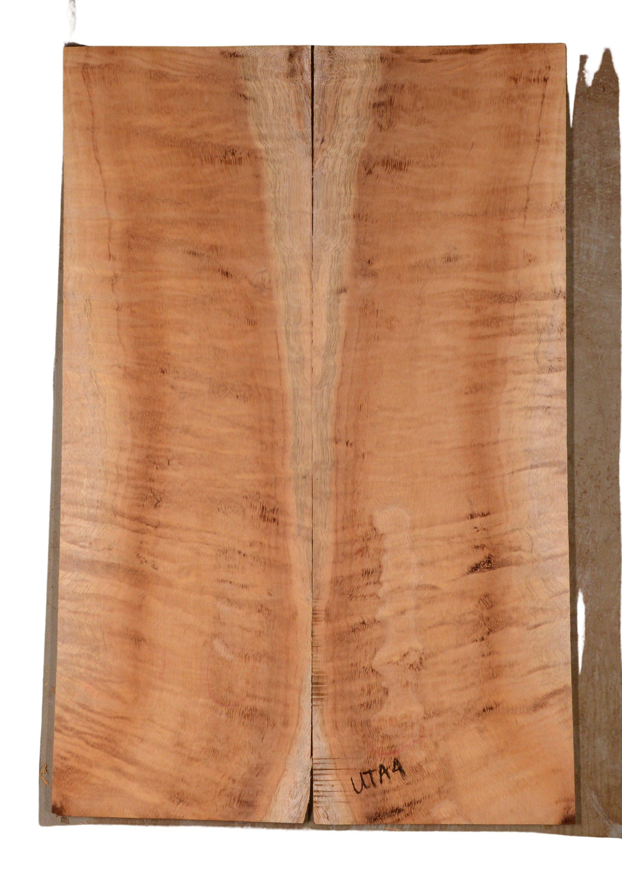 Koa UkeBack2pcATC KOA14.146