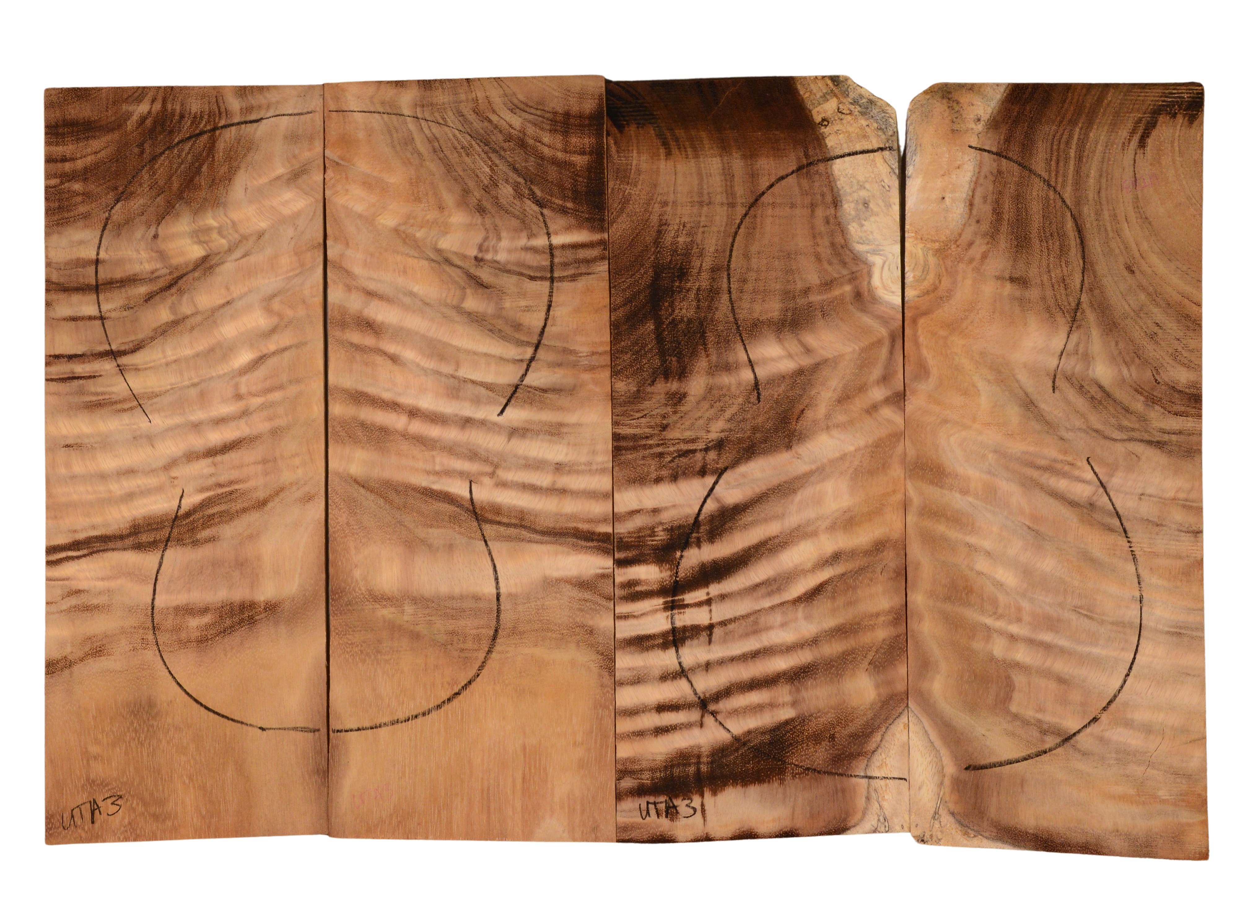 Koa UkeBack4pcATC KOA14.154