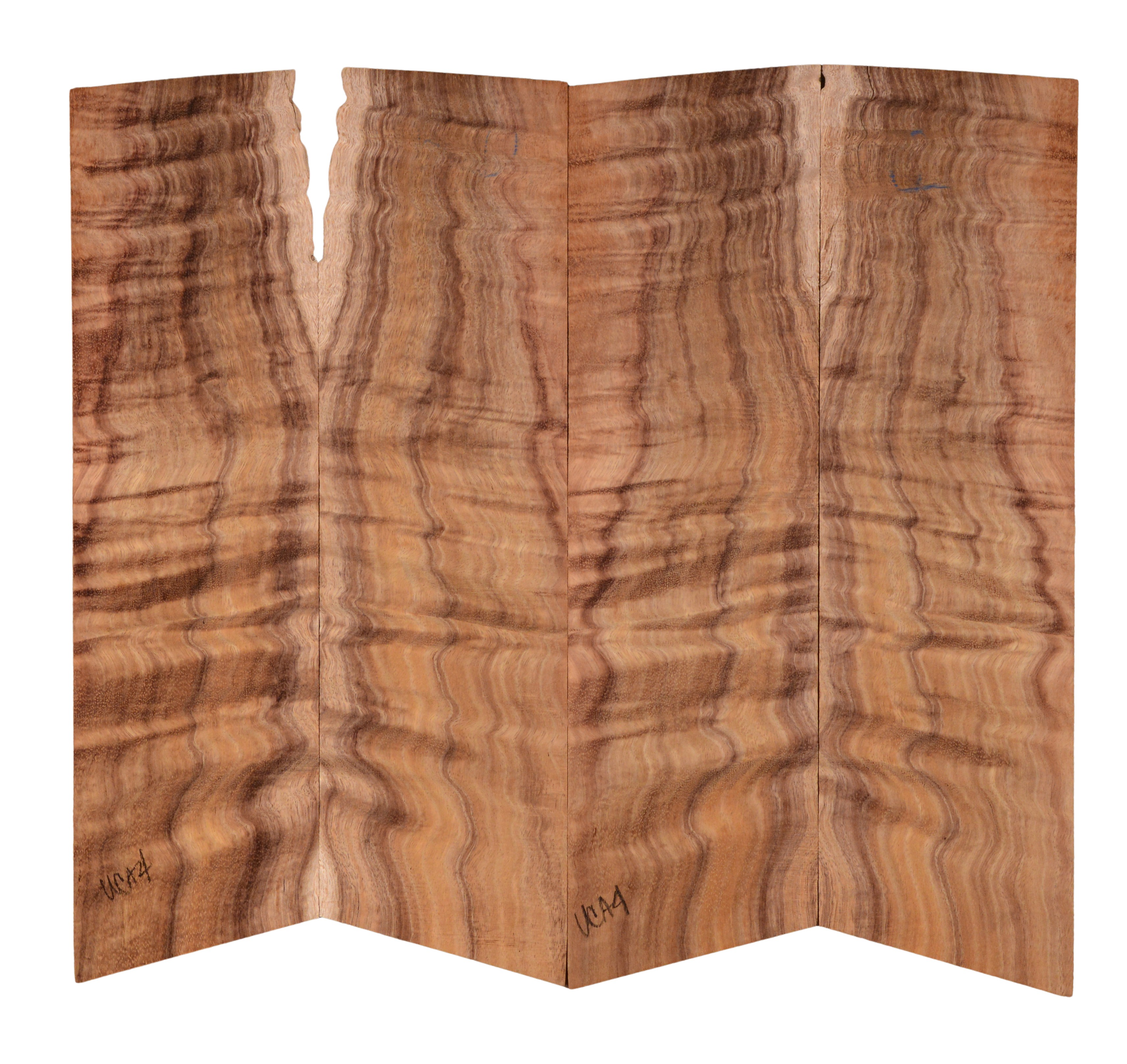 Koa UkeBack4pcATC KOA14.332