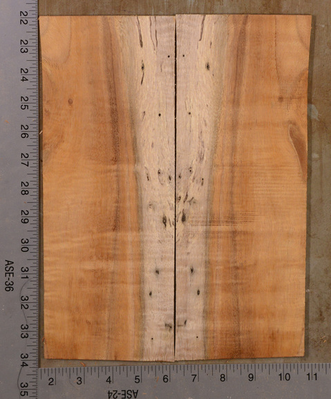 Koa UkeBack2pcATC KOA19.020