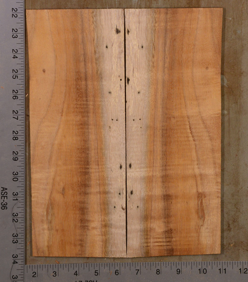 Koa UkeBack2pcATC KOA19.021