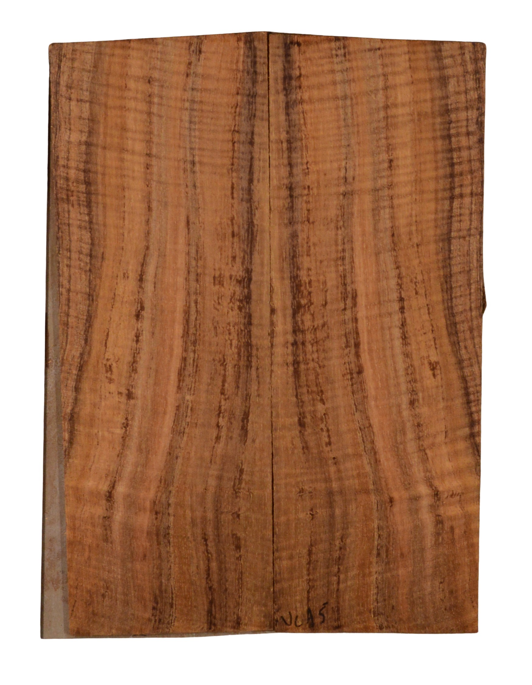 Koa UkeBack2pcATC KOA22.105