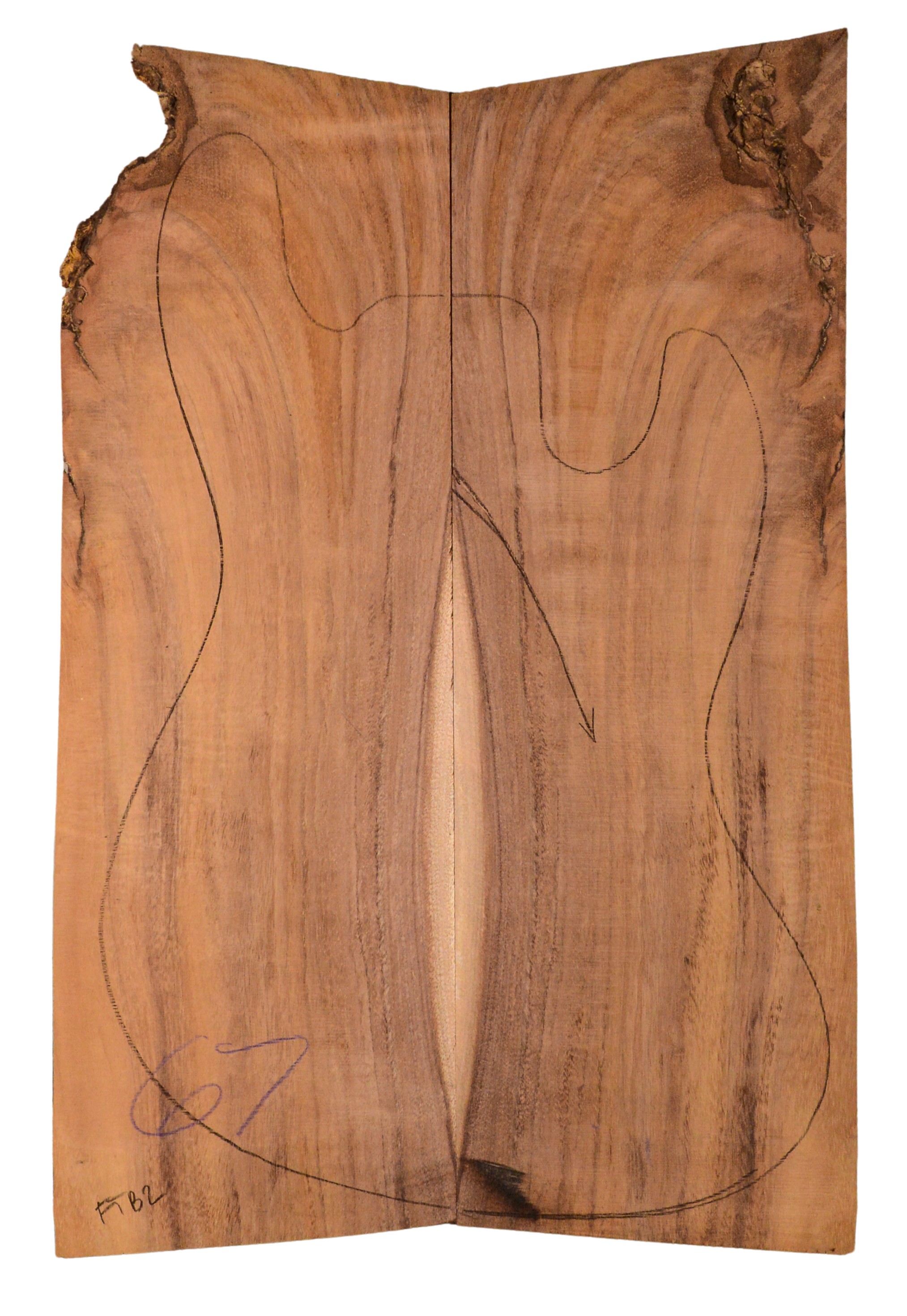 Koa GuitarSolidBodyTopATC KOASB.G.009