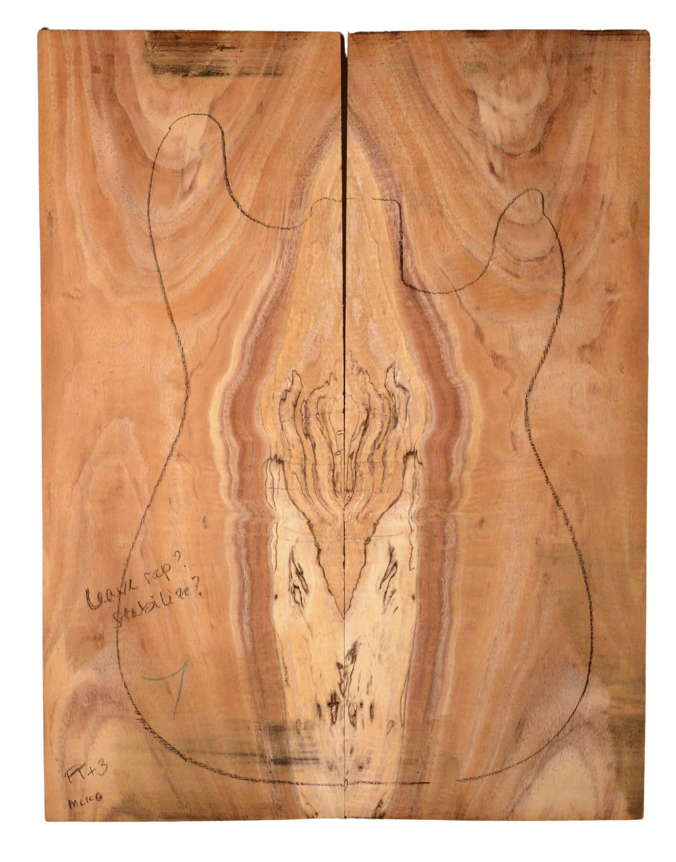 Koa GuitarSolidBodyTopATC KOASB.G.077