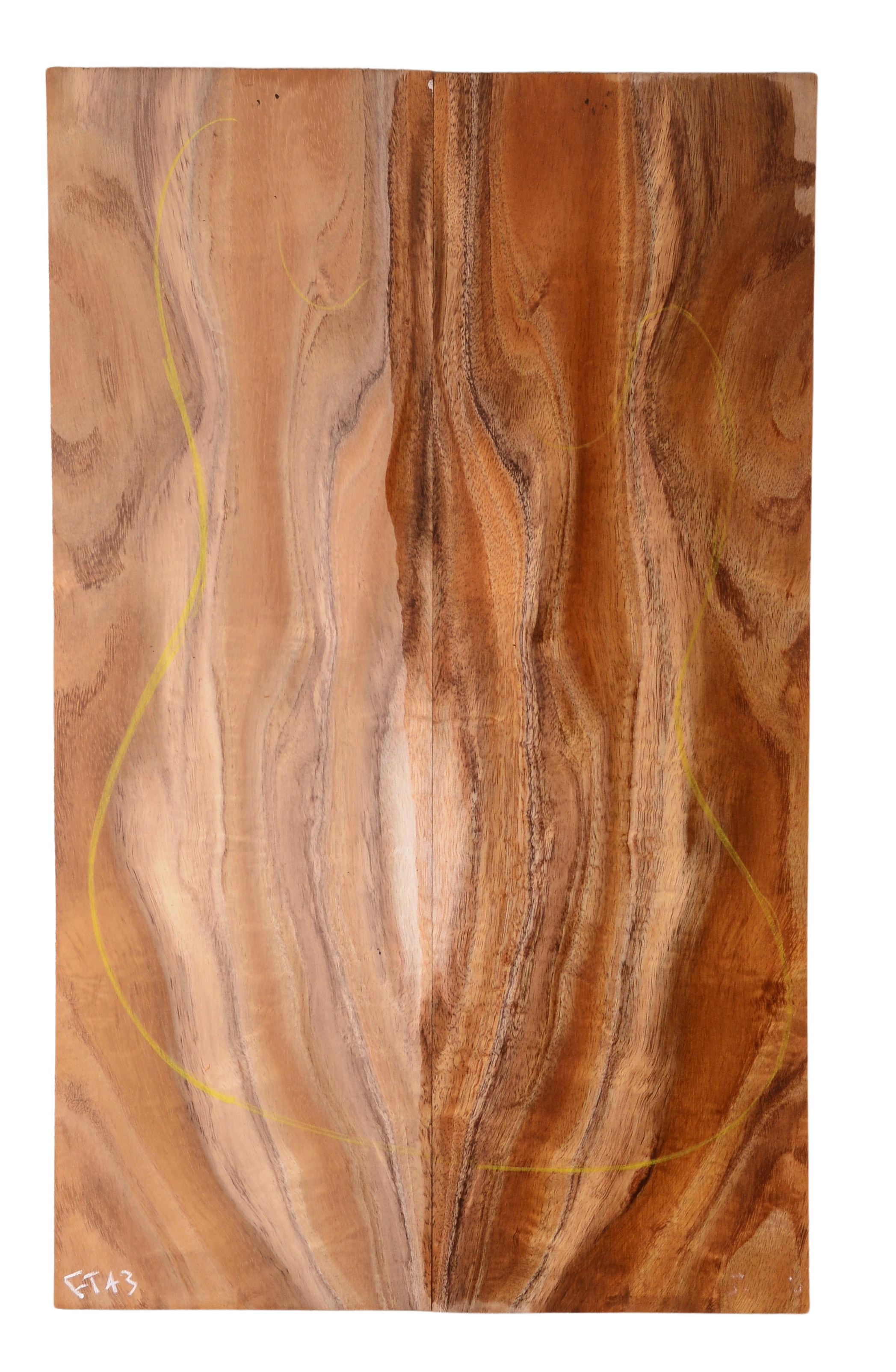 Koa GuitarSolidBodyTopATC KOASB.G.191