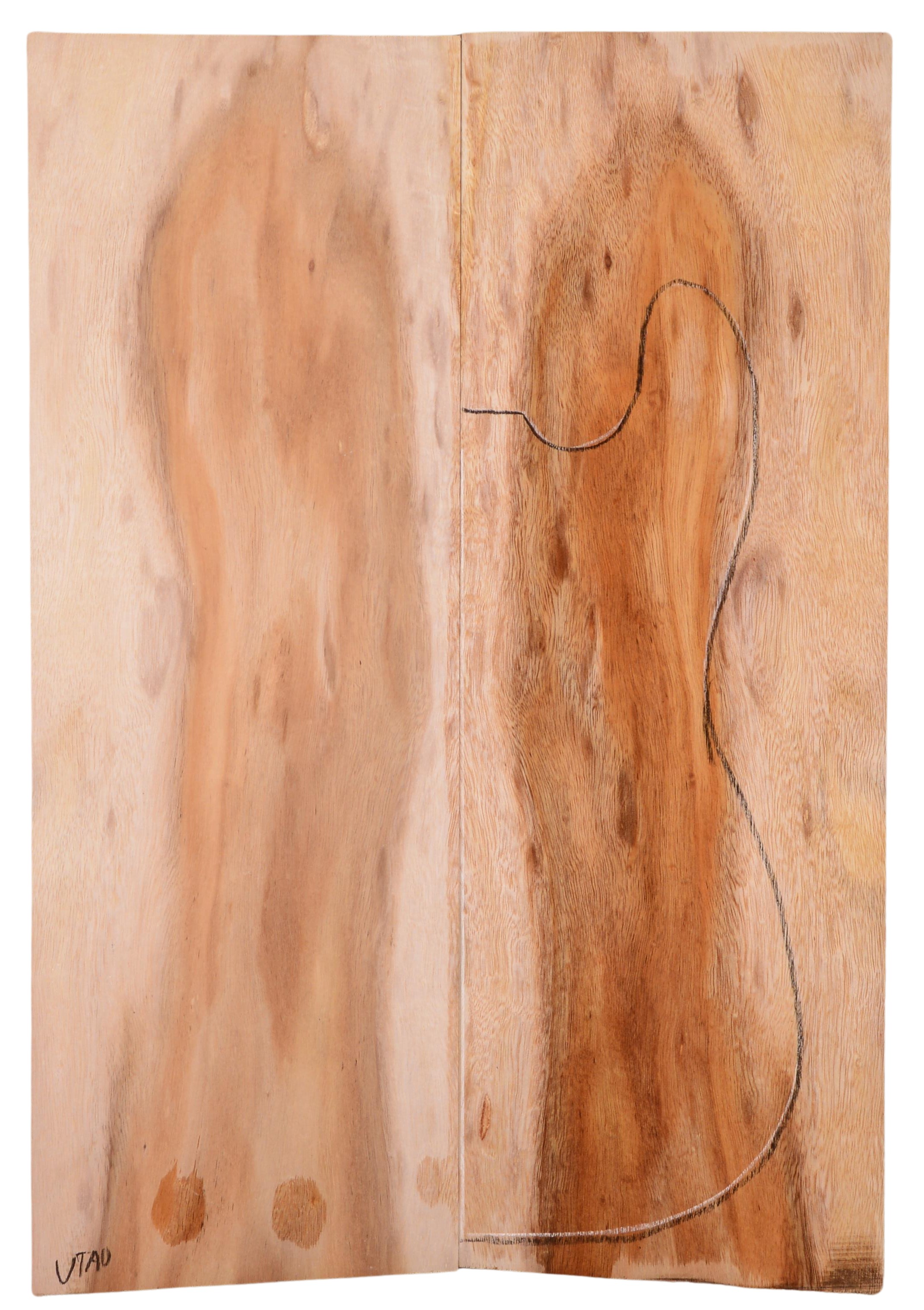 Koa GuitarSolidBodyTopATC KOASB.G.205