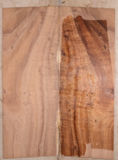 Koa GuitarSolidBodyTopATC KOASB2.G.020
