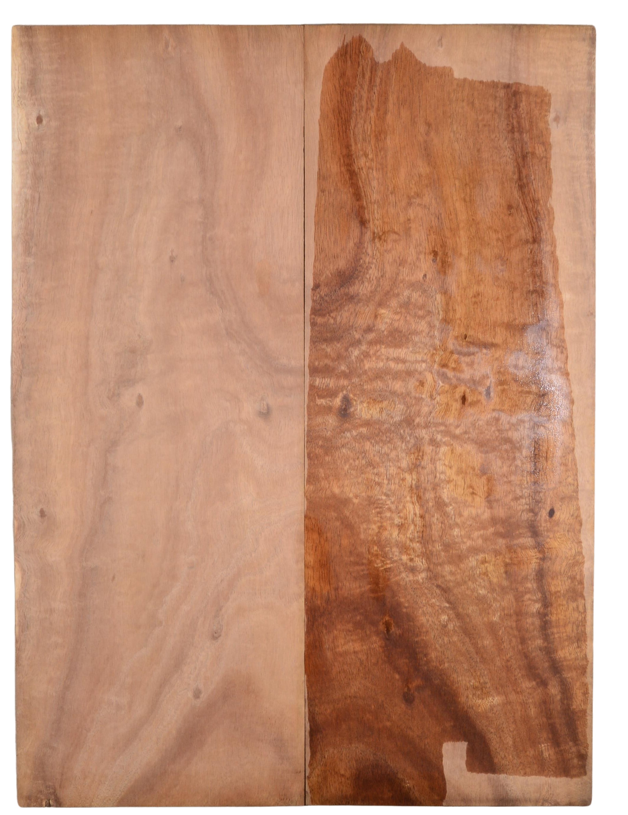 Koa GuitarSolidBodyTopATC KOASB2.G.021
