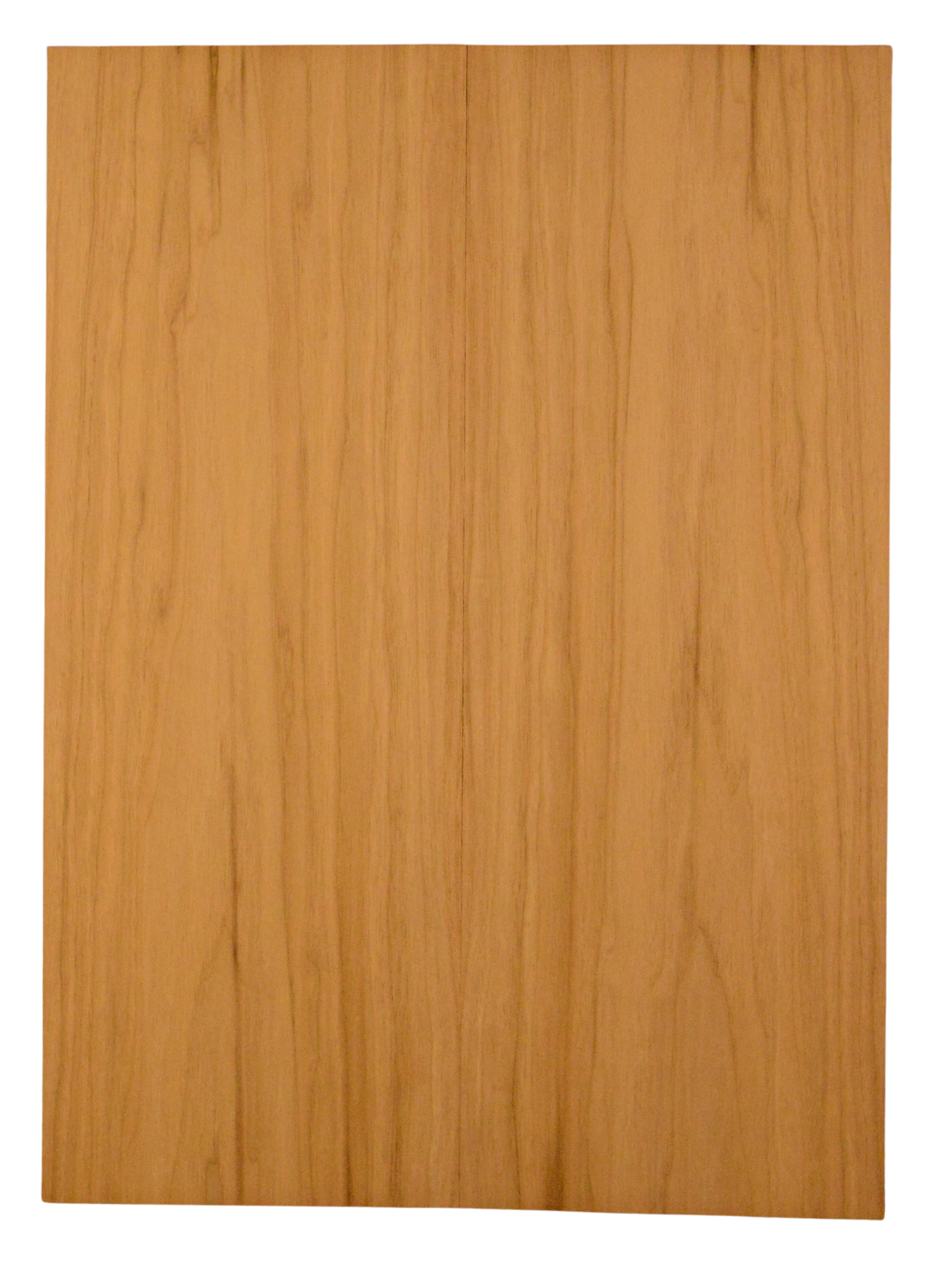 Butternut GuitarBack2pcATC L015811.G.013