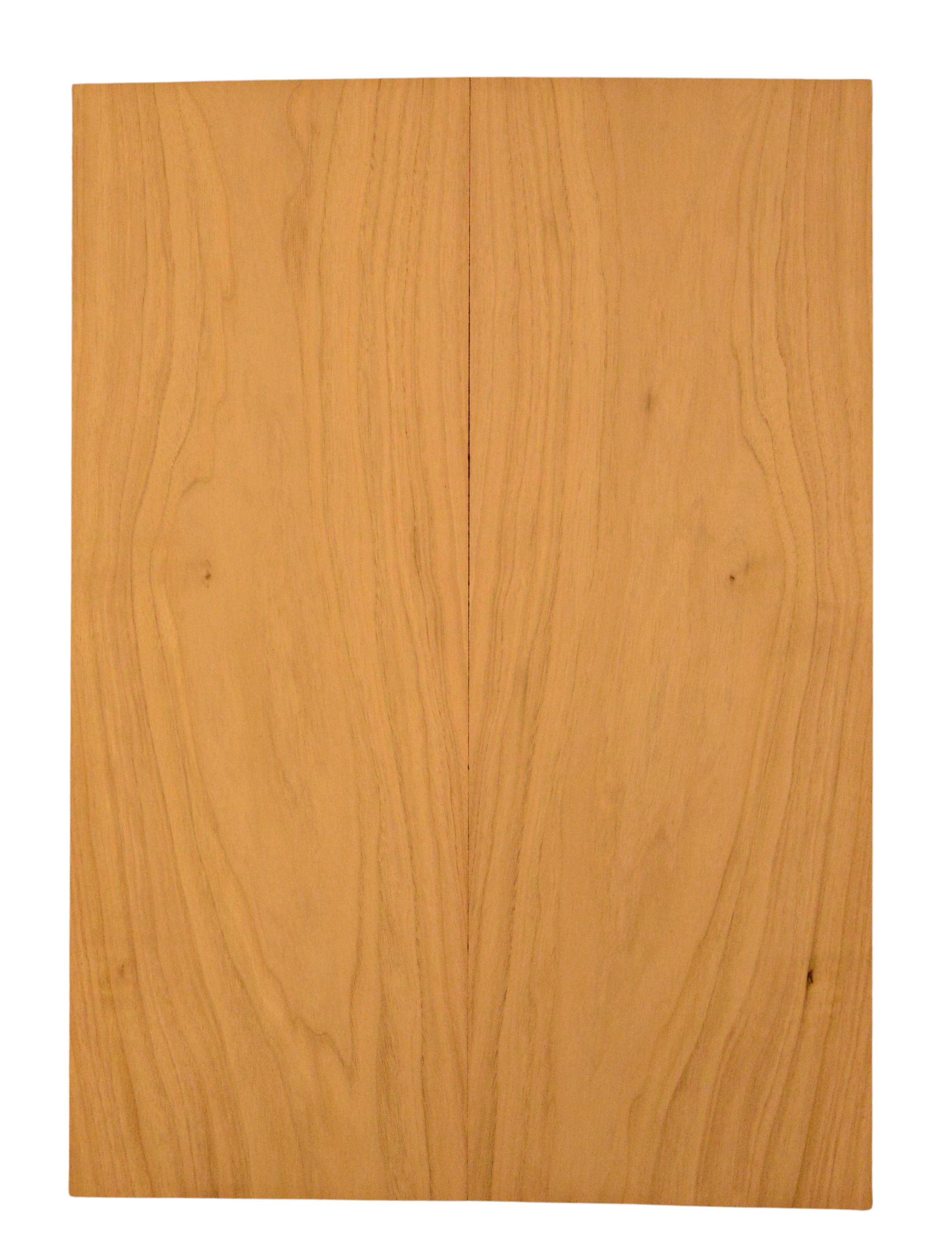 Butternut GuitarBack2pcATC L015811.G.018