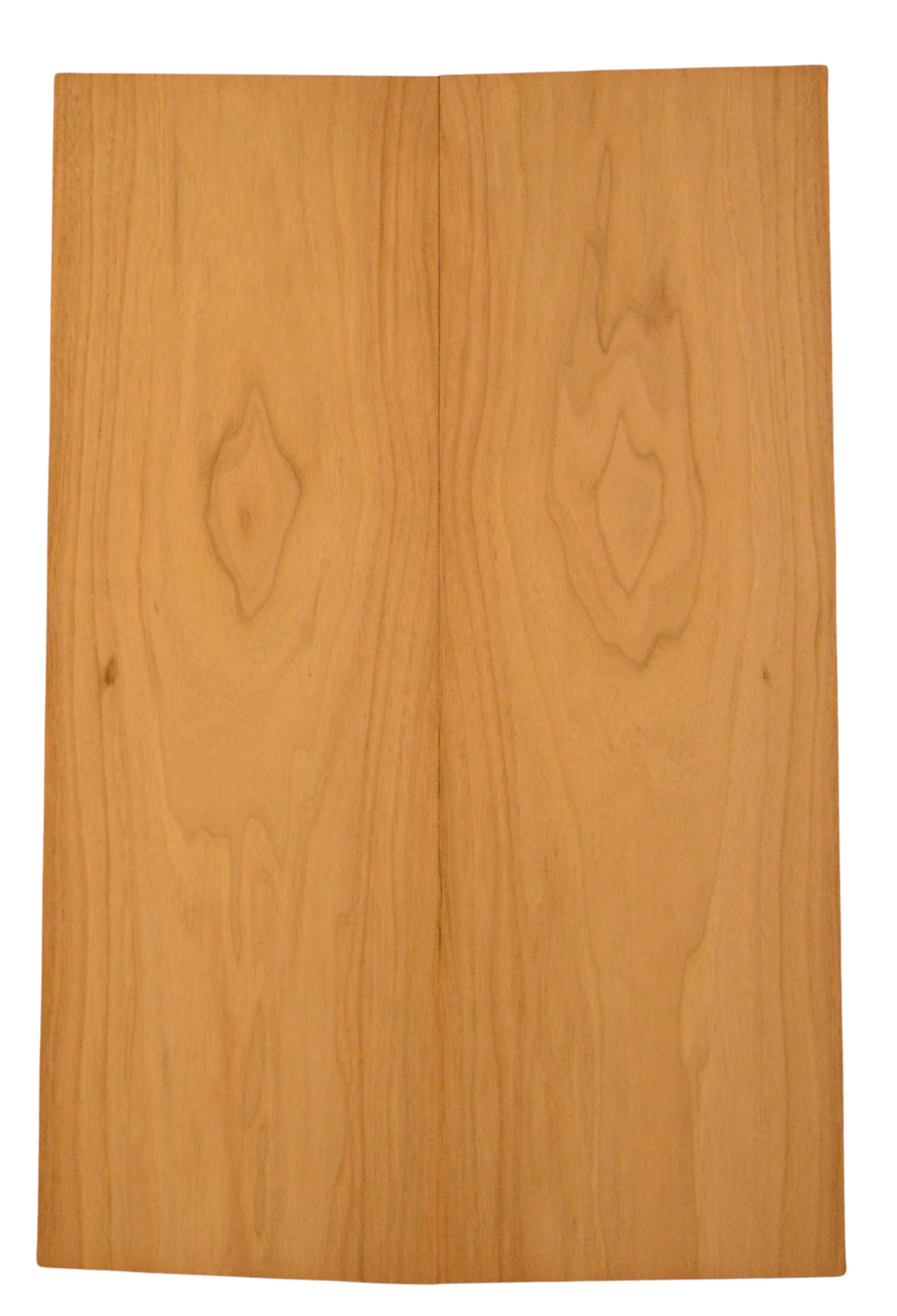 Butternut GuitarBack2pcATC L015811.G.020