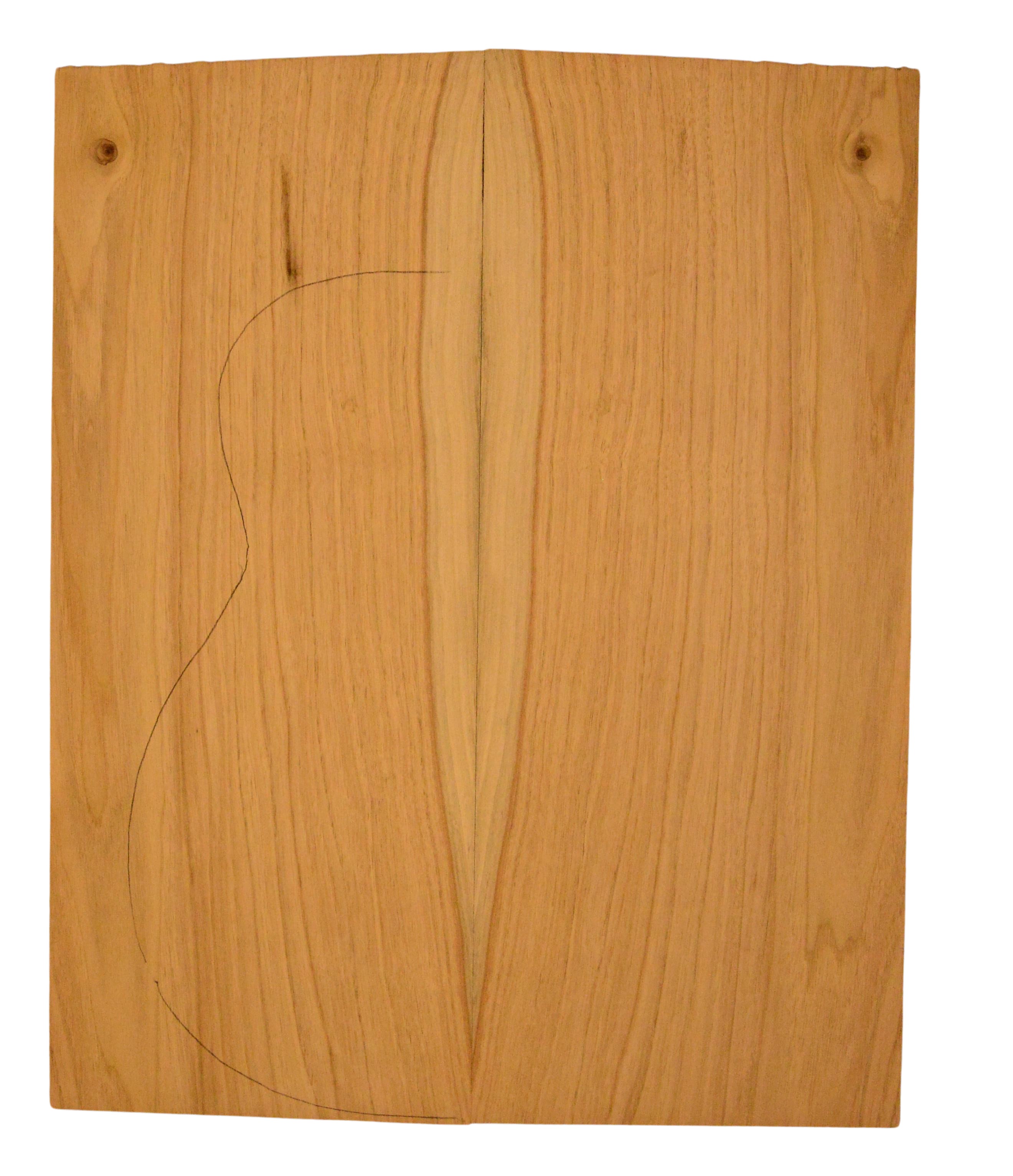 Butternut GuitarBack2pcATC L015811.G.022