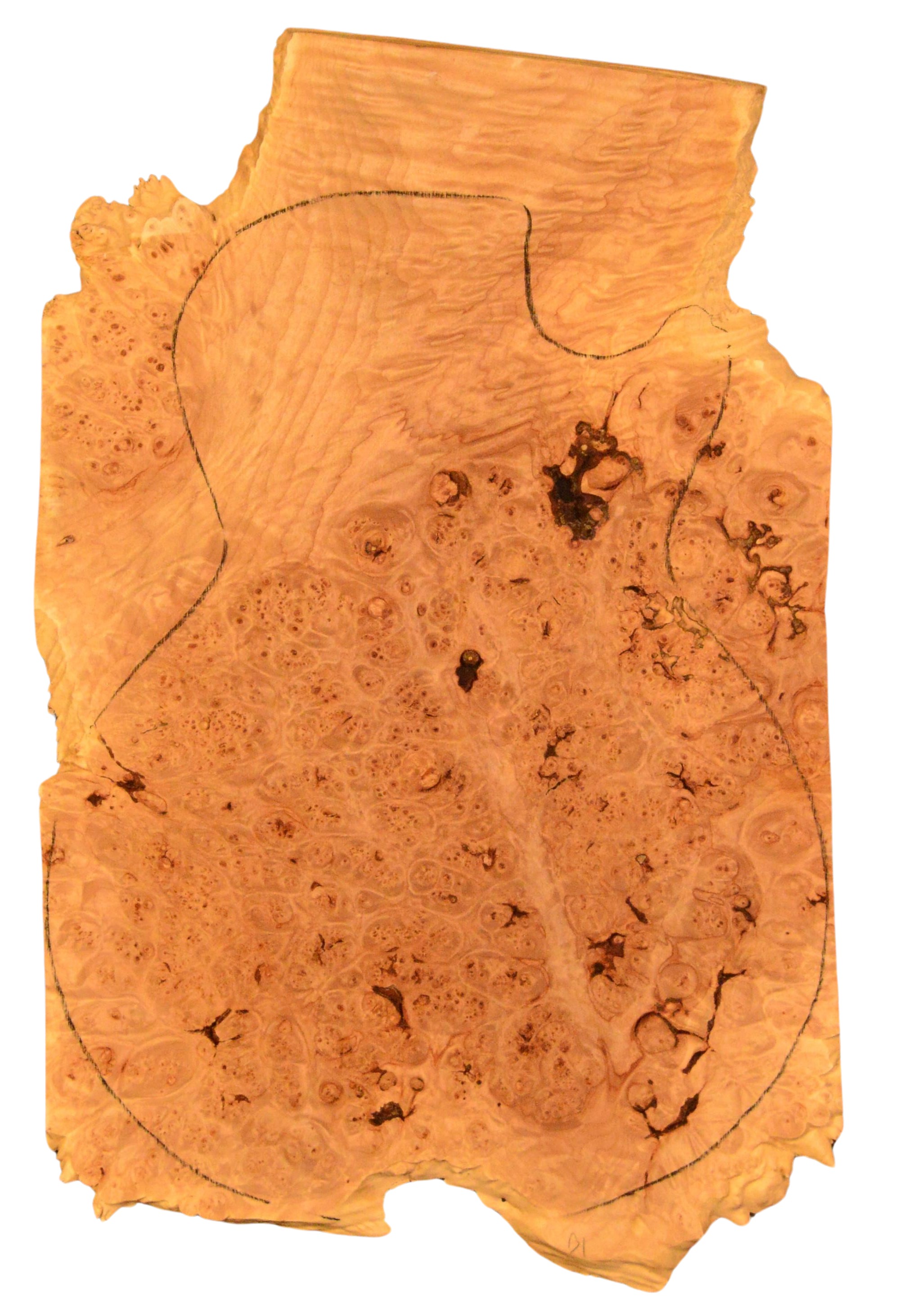 Maple (Big Leaf) GuitarSolidBodyTopATC L015817.G.001