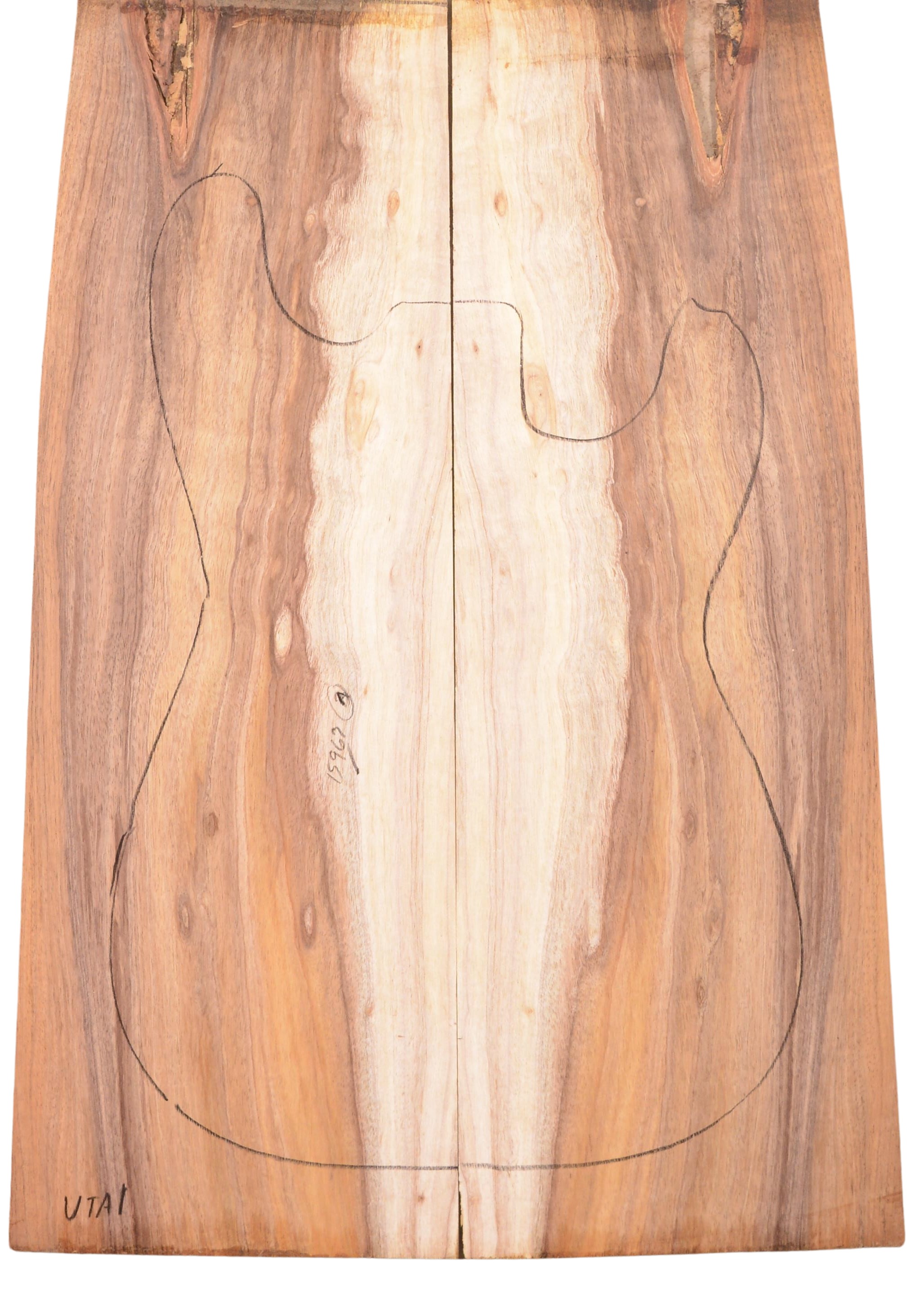 Blackwood (Tasmanian) GuitarSolidBodyTopATC L020038.G.013