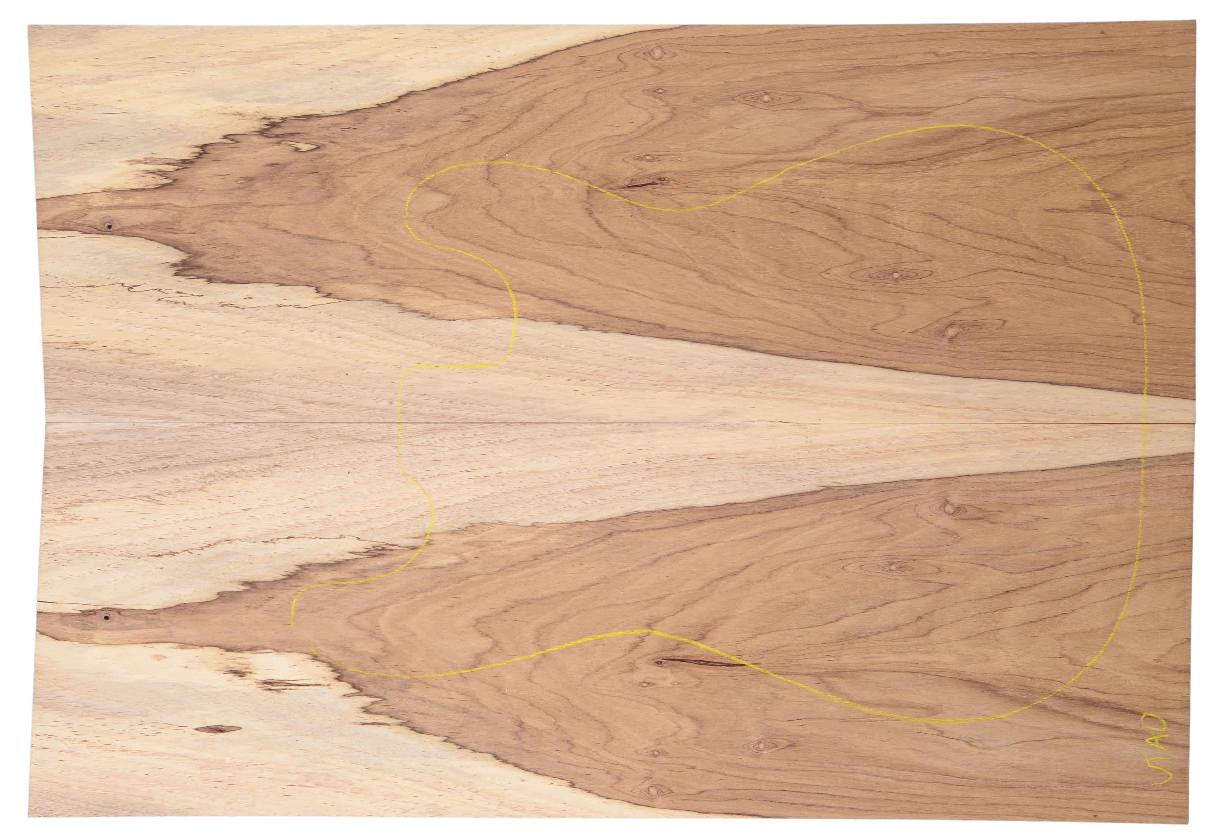 Rosewood (Nicaraguan) GuitarSolidBodyTopATC L020039.G.472