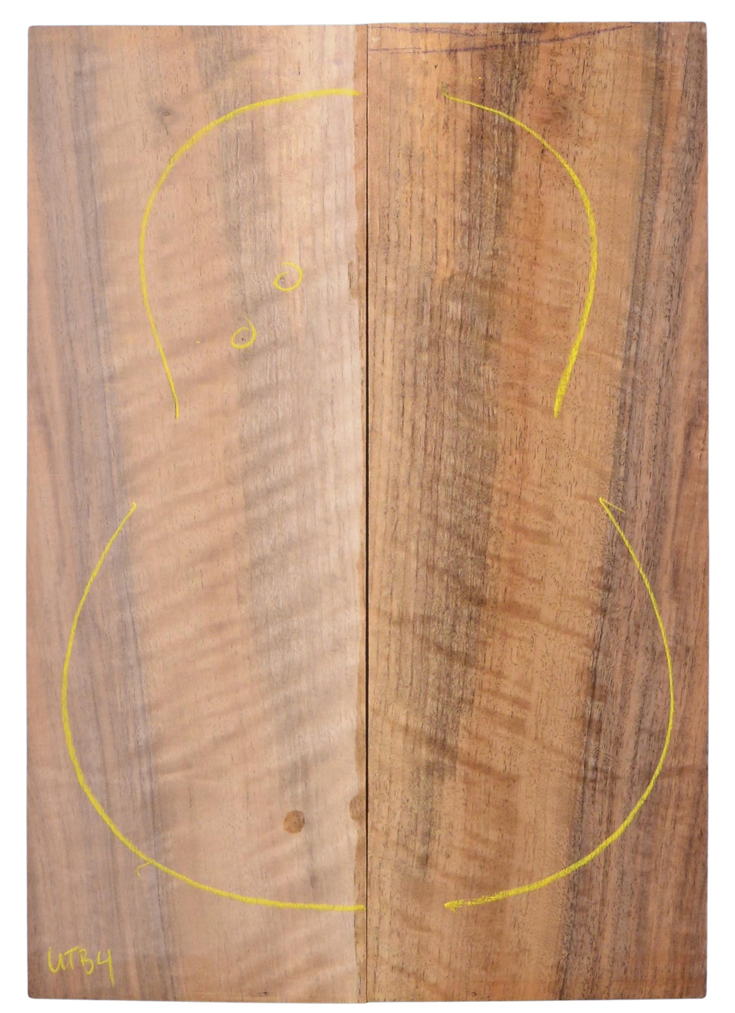 Walnut (English) UkeBack2pcATC L020067.G.007