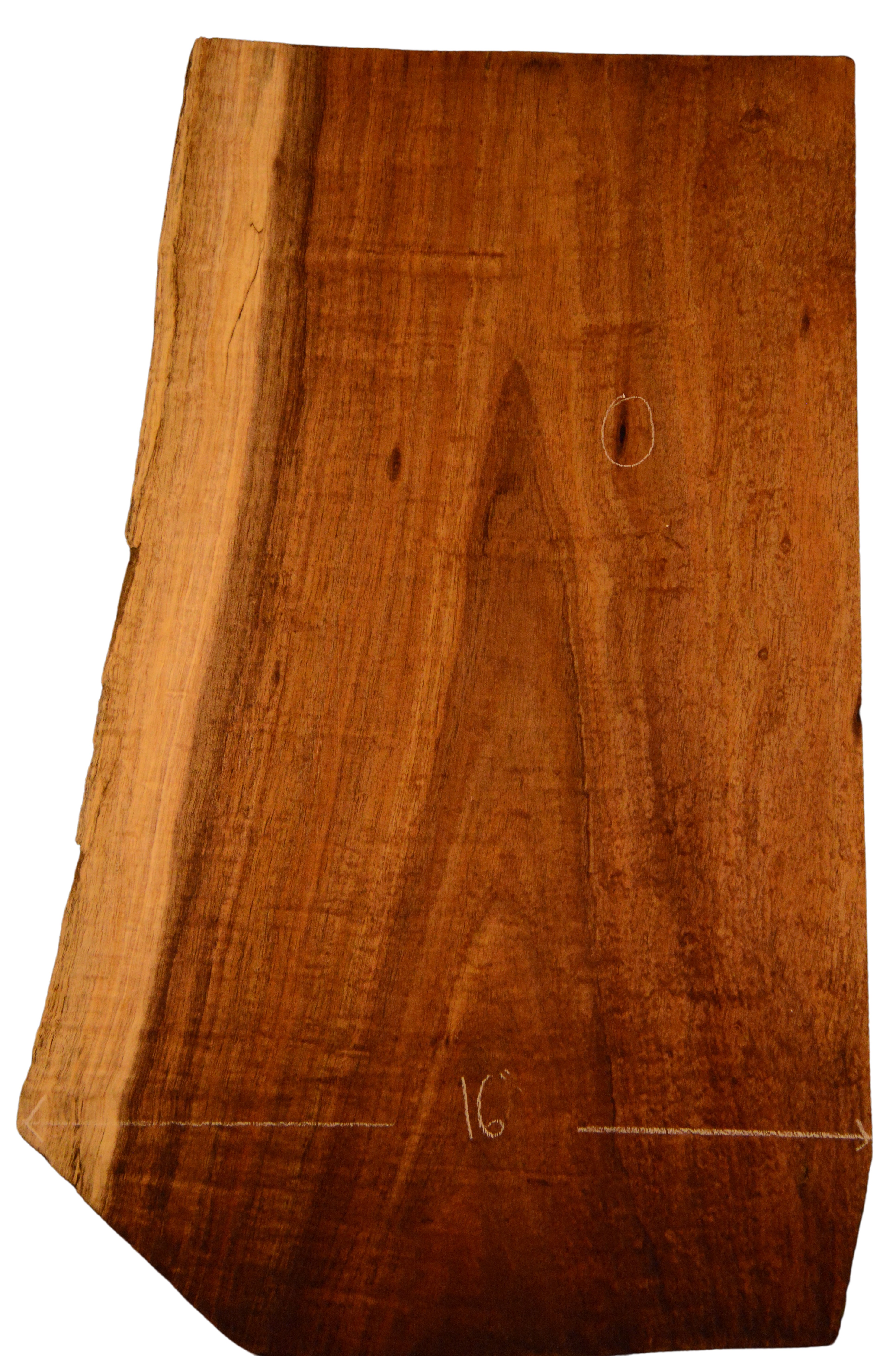 Blackwood (Tasmanian) GuitarBilletATC L020993.G.010