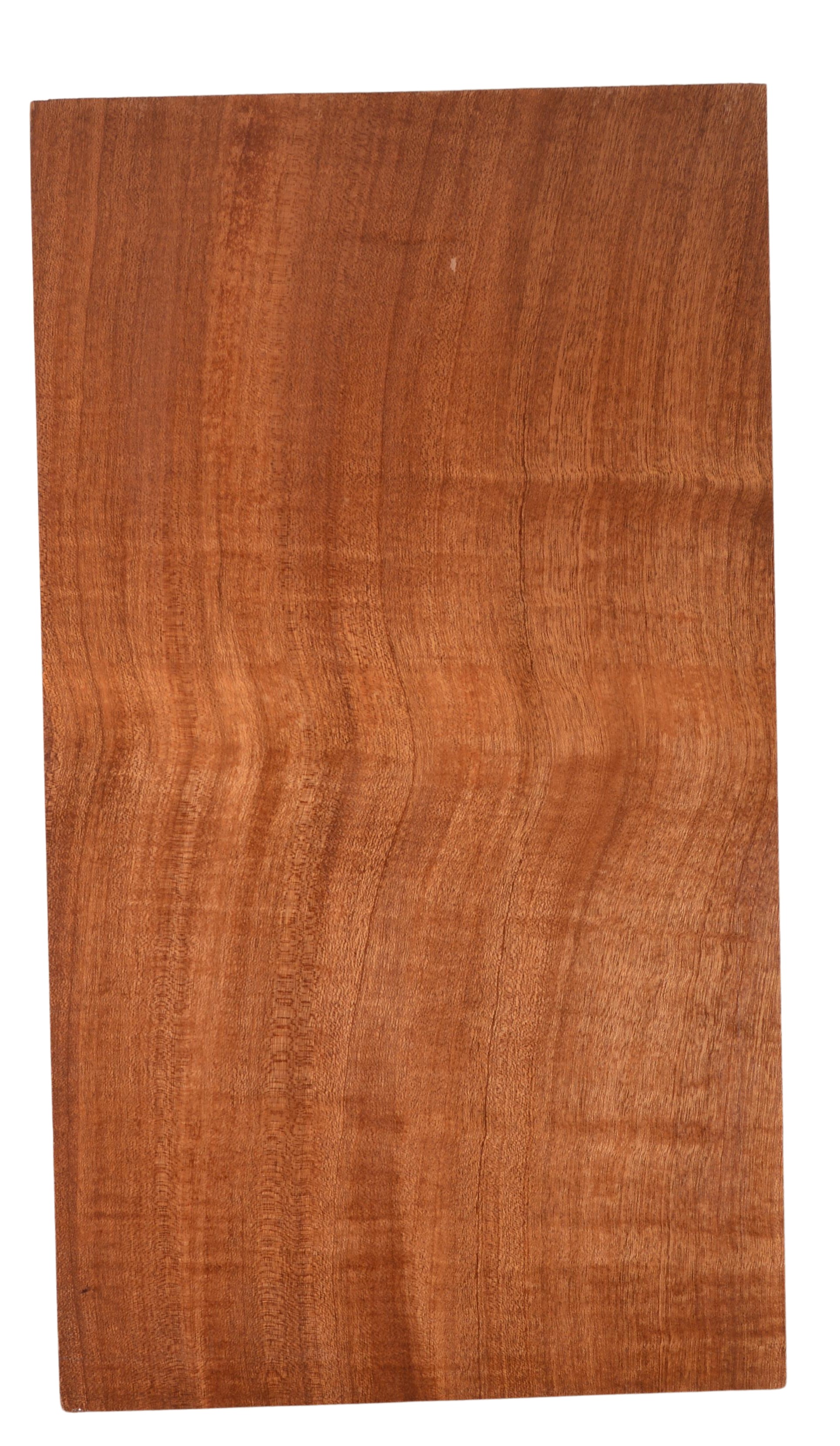 Sapele GuitarSolidBodyBilletATC L022973.G.004