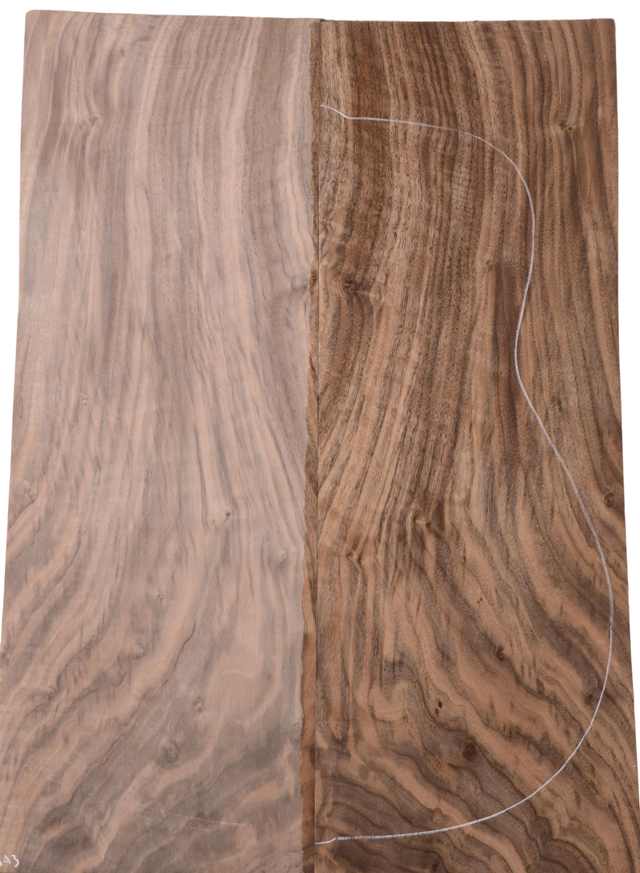 Walnut (English) GuitarBack2pcATC L022974.G.013