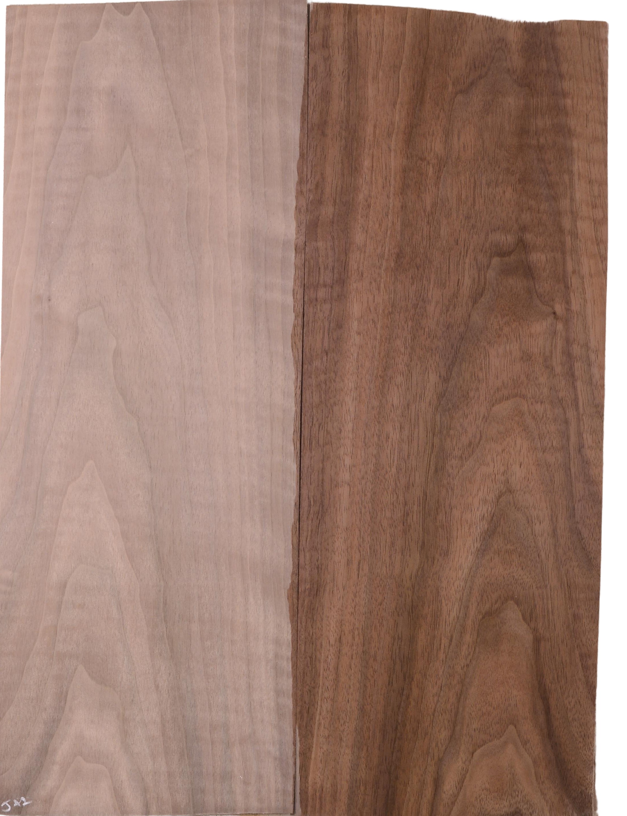 Walnut (Black) GuitarBack2pcATC L022975.G.023