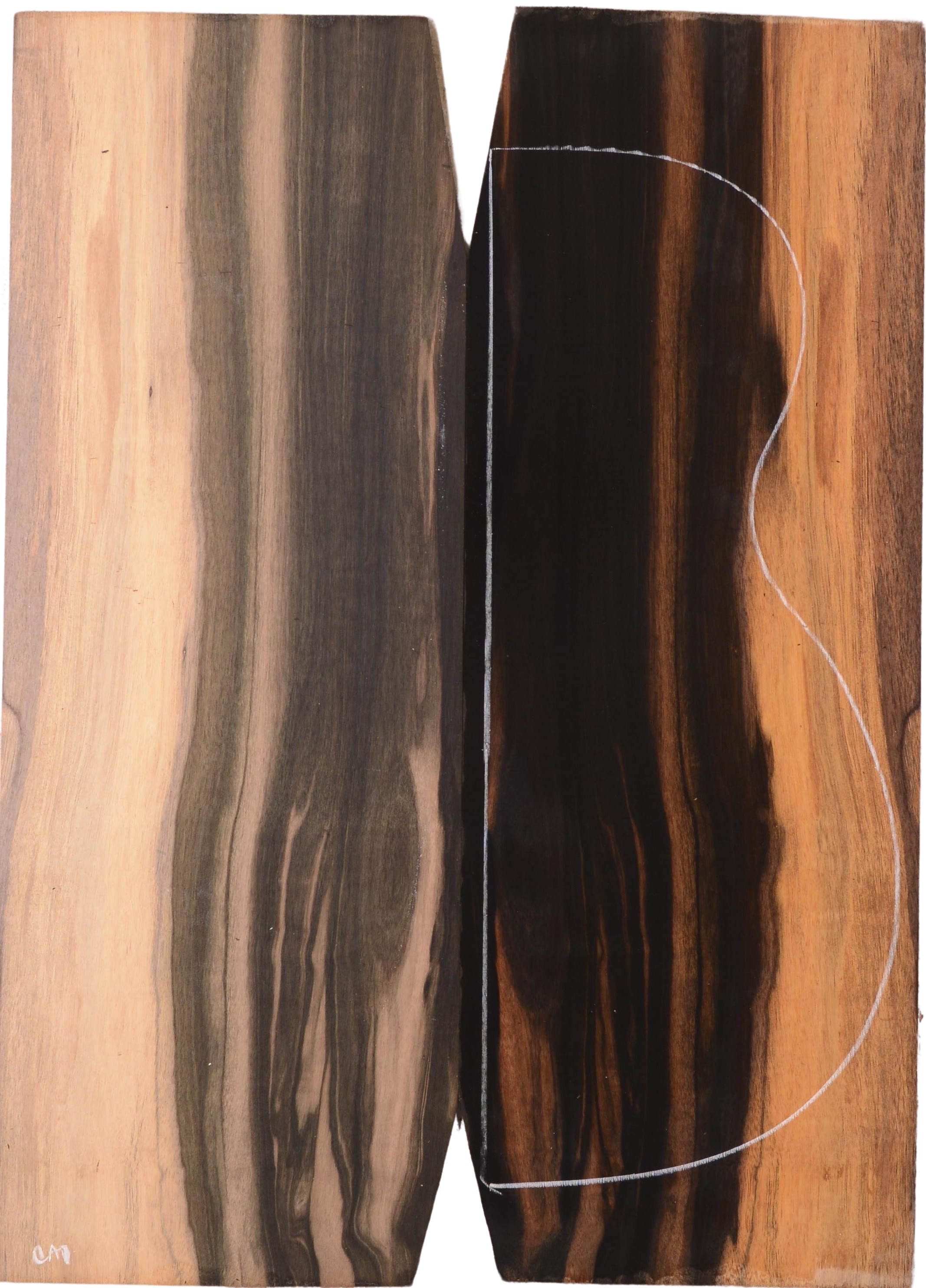 Ebony (Macassar) GuitarBack2pcATC L022977.G.021