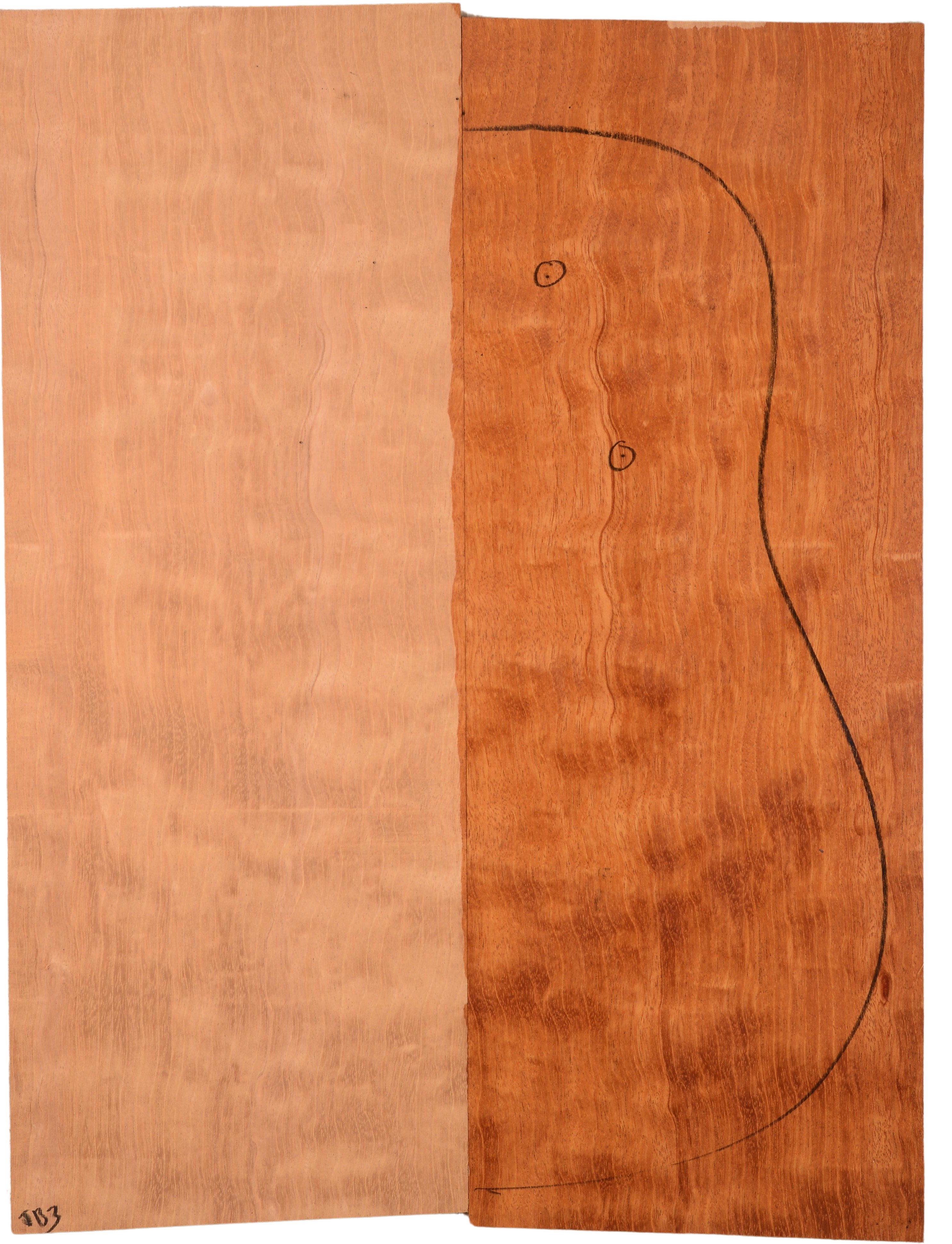 Mahogany (Genuine) GuitarBack2pcATC L022979.G.117