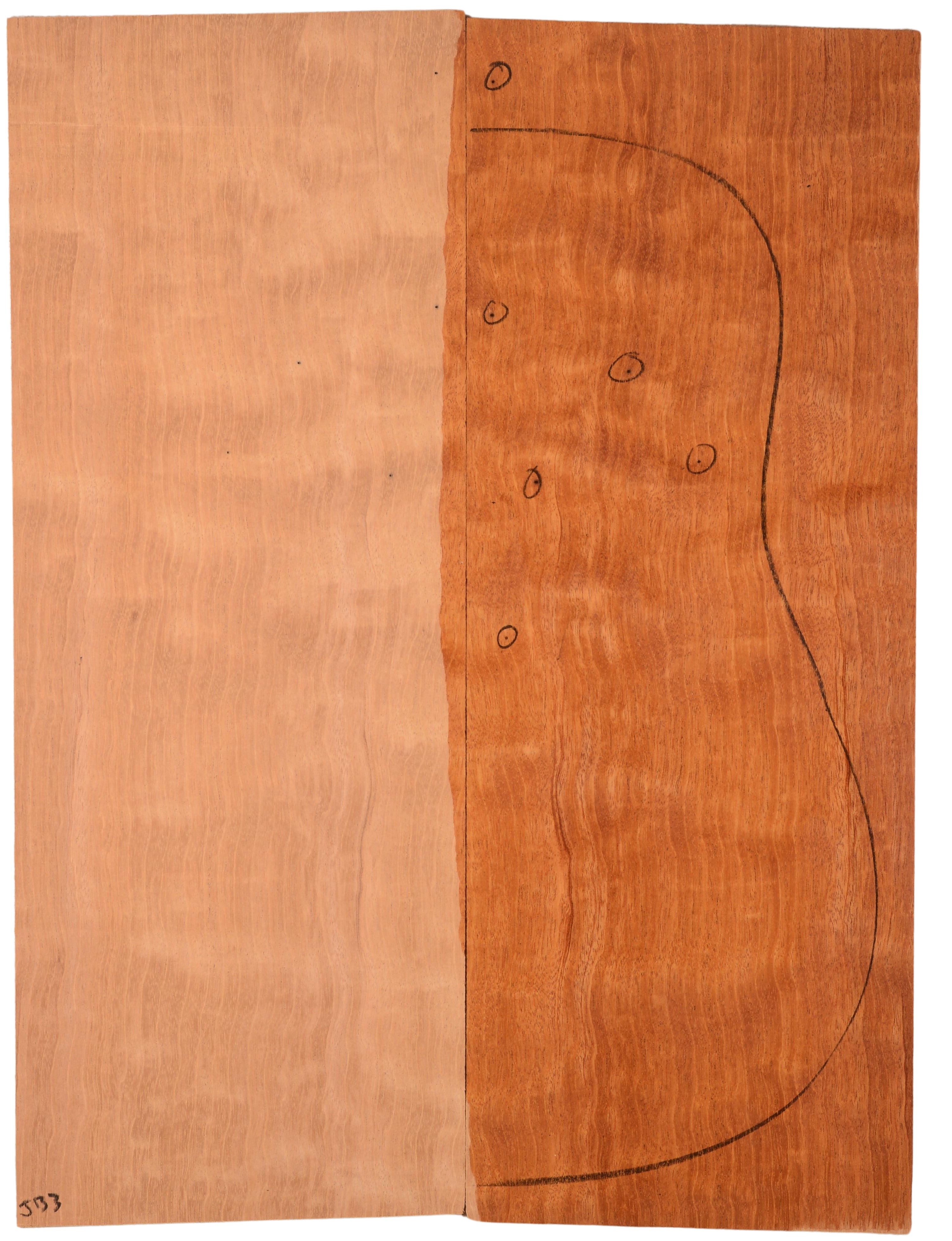Mahogany (Genuine) GuitarBack2pcATC L022979.G.118