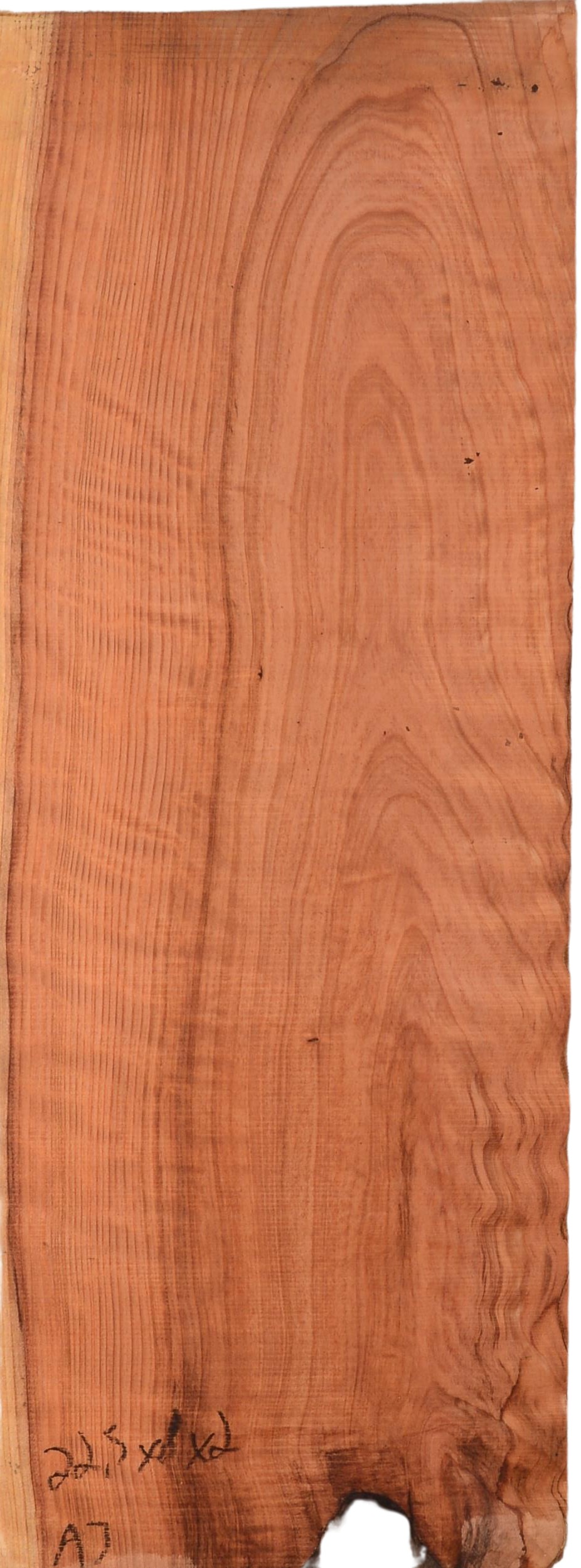 Redwood GuitarBilletATC L022993.G.041