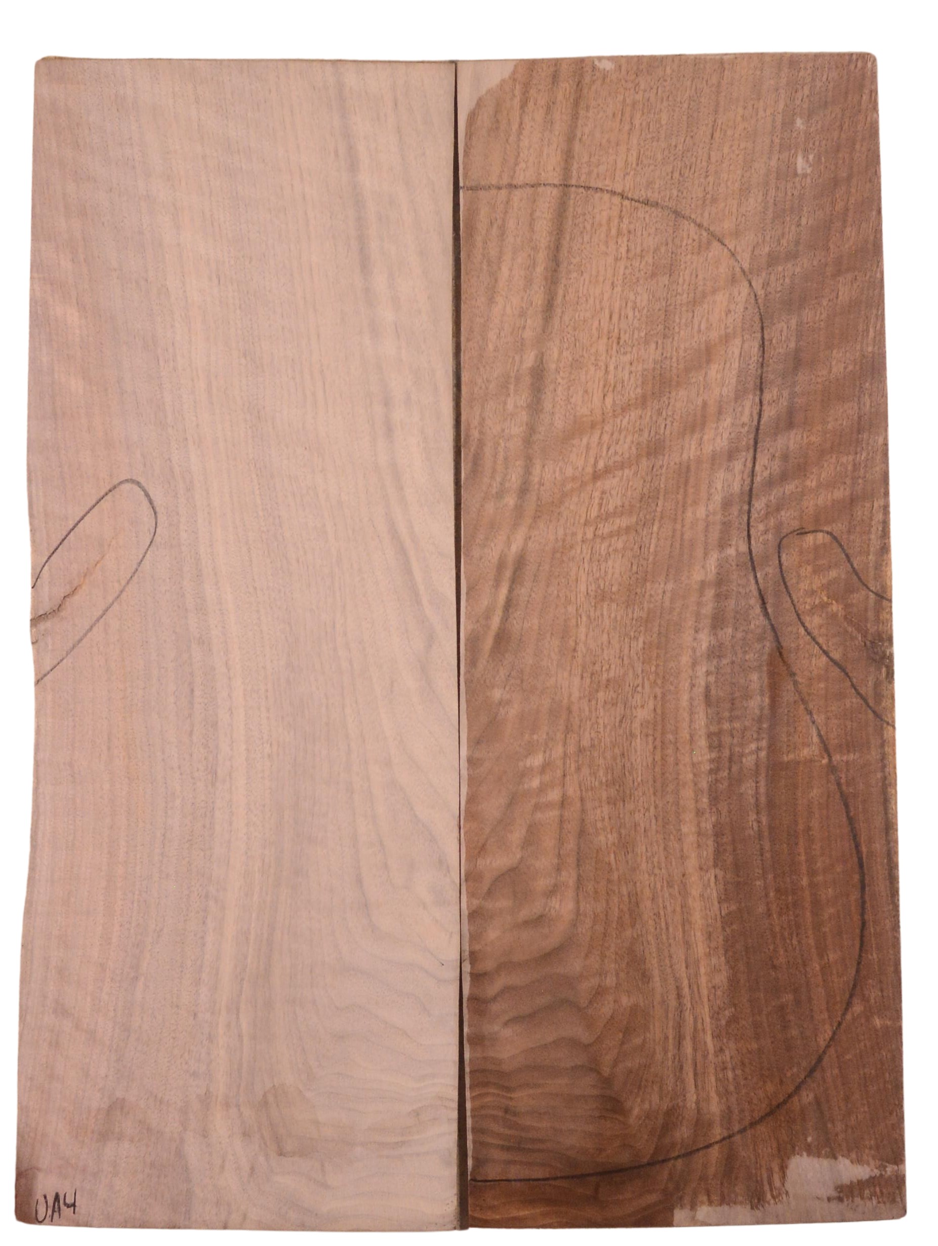 Walnut (Black) GuitarBack2pcATC L022999.G.043