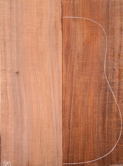 Blackwood (Tasmanian) GuitarBack2pcATC L023000.G.009