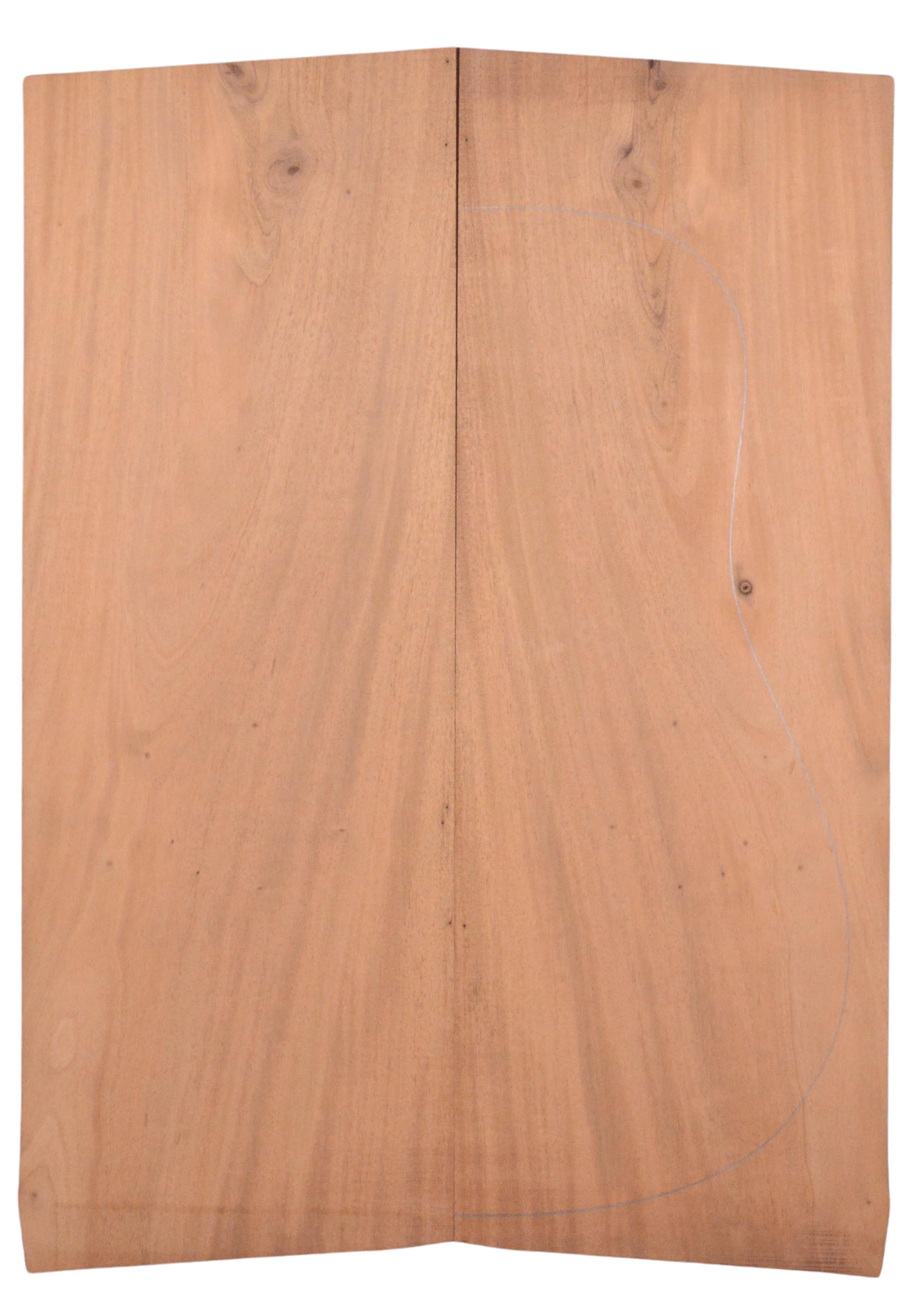 Mahogany (Sinker) GuitarBack2pcATC L026234.G.034