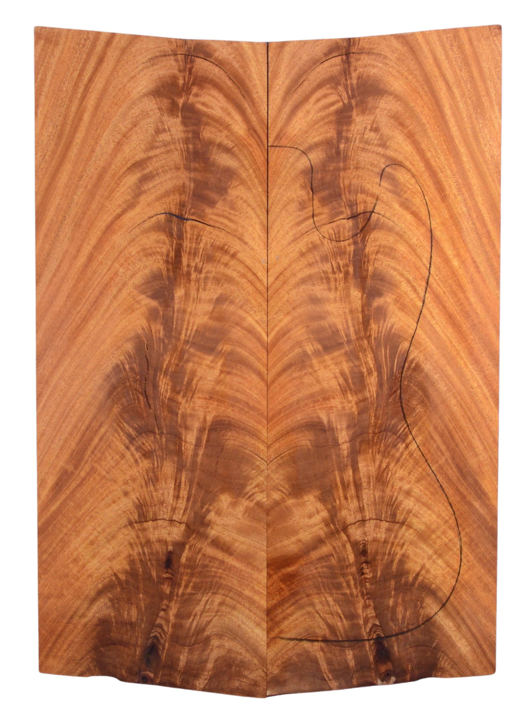 Mahogany (Sinker) GuitarSolidBodyTopATC L19491.G.021