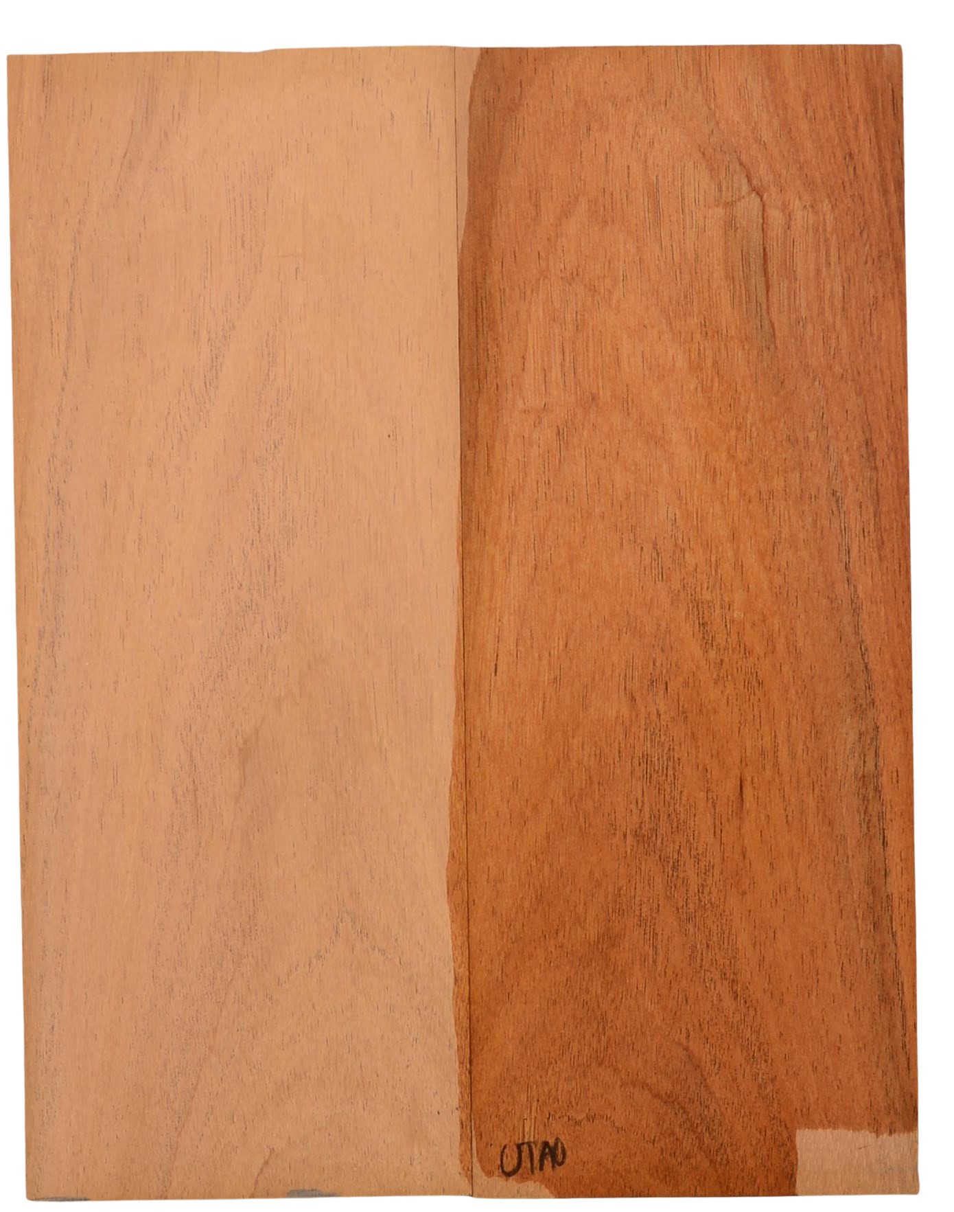 Mahogany (Sinker) UkeBack2pcATC M15509.G.121