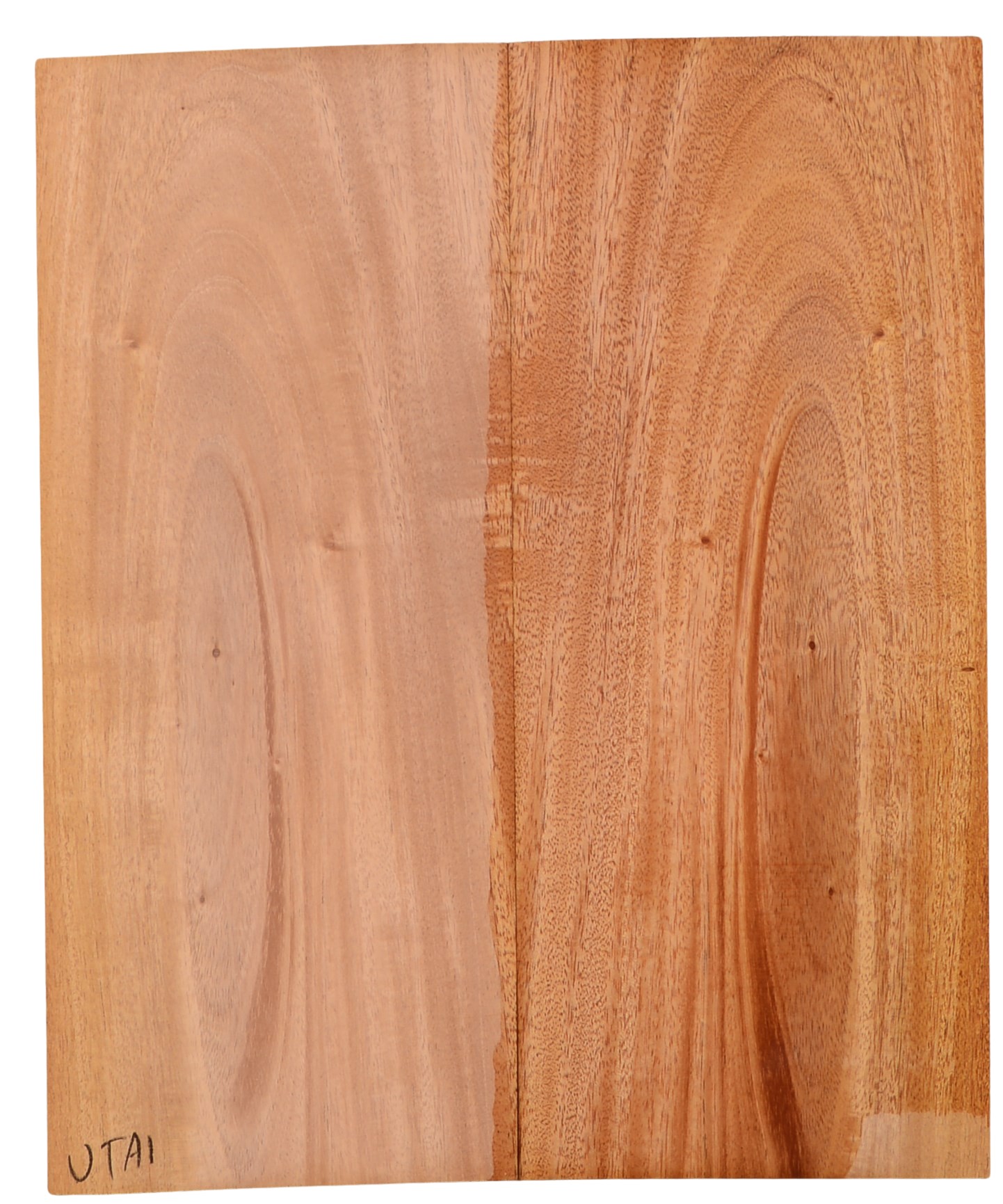 Mahogany (Sinker) UkeBack2pcATC M15509.G.123