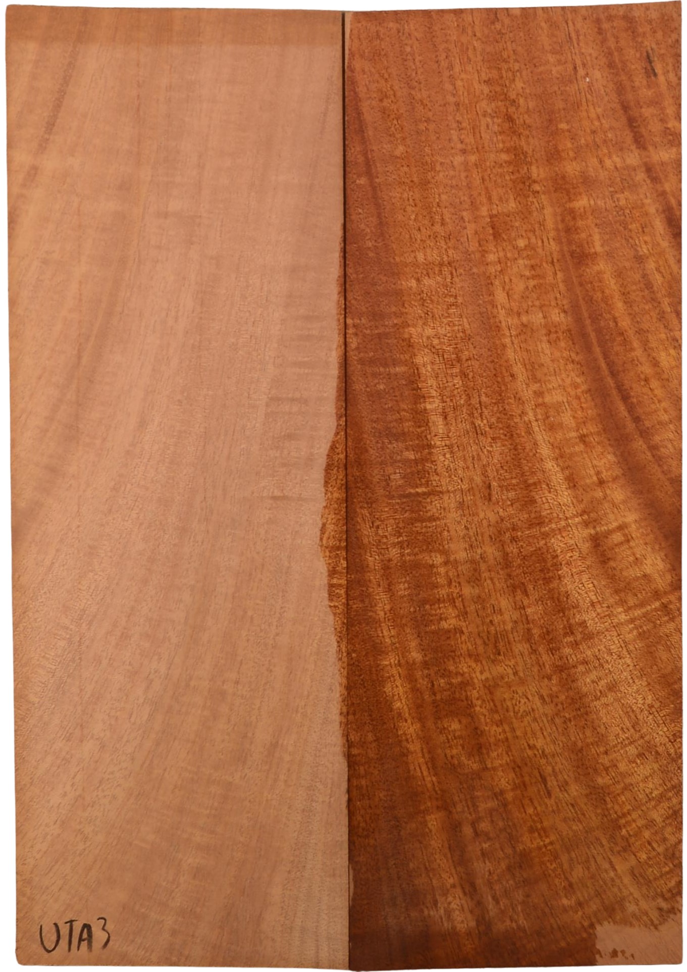 Mahogany (Sinker) UkeBack2pcATC M15509.G.127