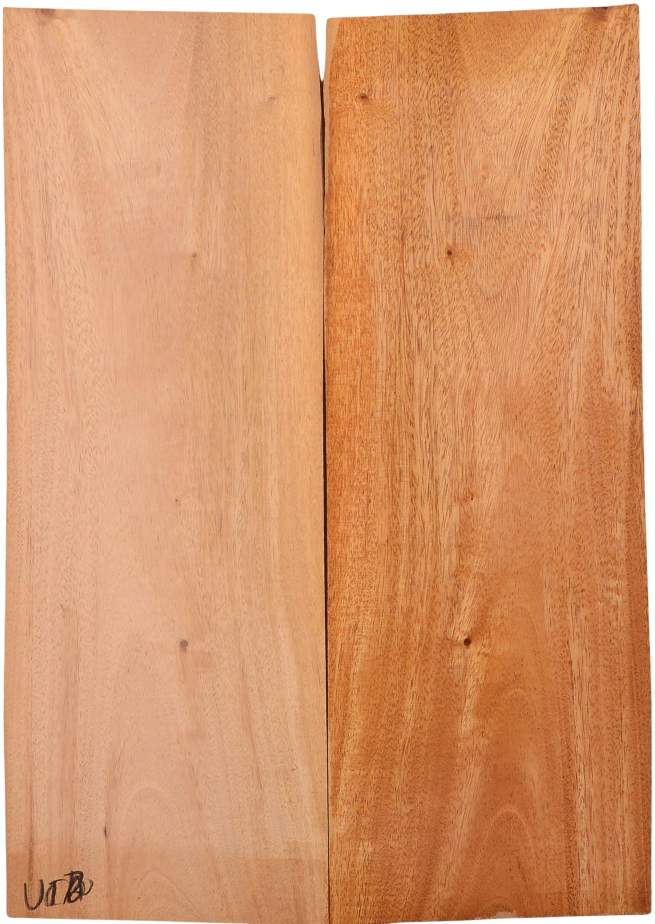 Mahogany (Sinker) UkeBack2pcATC M15509.G.131