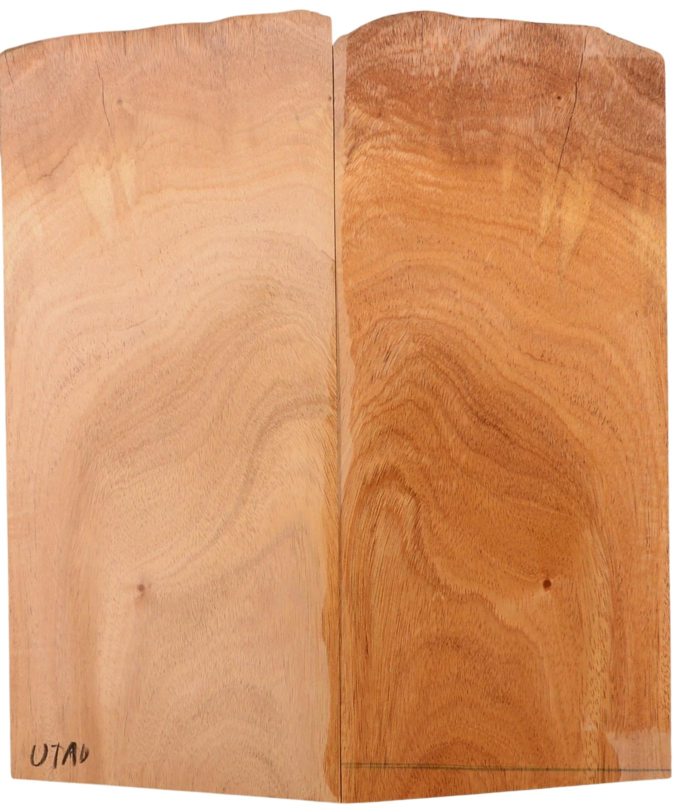 Mahogany (Sinker) UkeBack2pcATC M15509.G.132