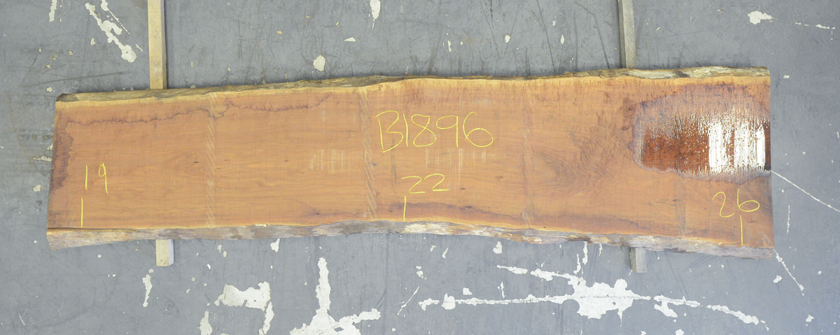 Blackwood (Tasmanian) Board BB1896