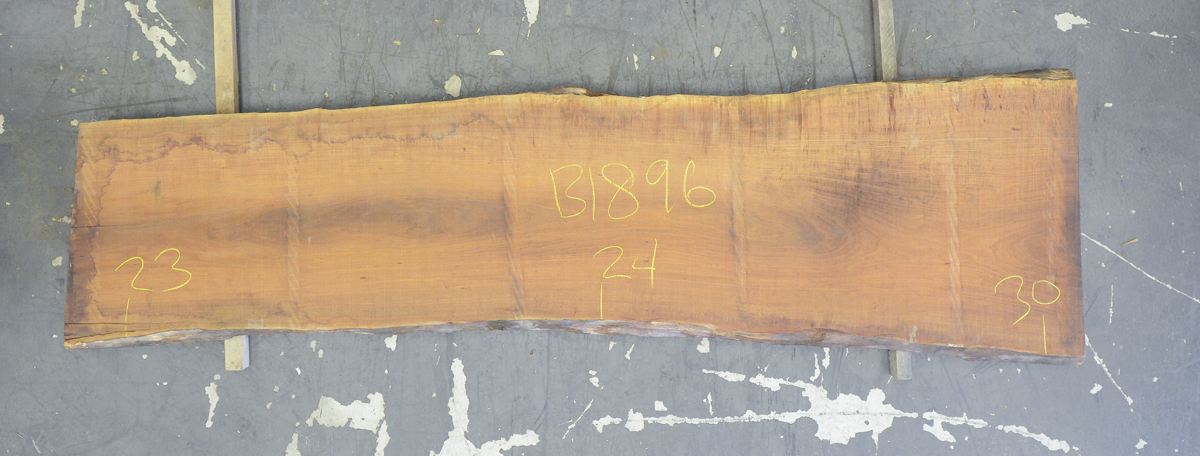 Blackwood (Tasmanian) Board BB1897