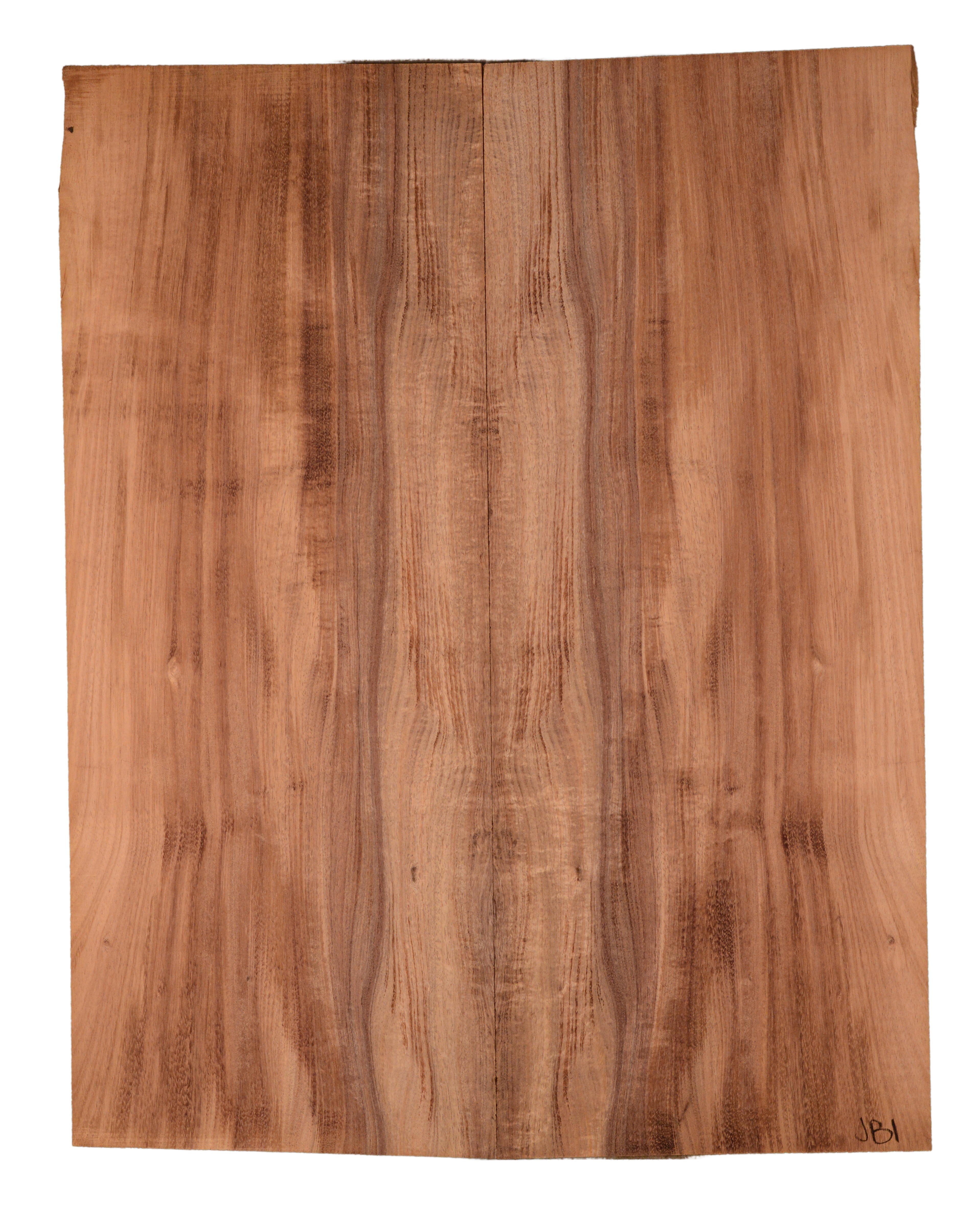 Blackwood (Tasmanian) GuitarBack2pcATC BLTAS1.G3.119